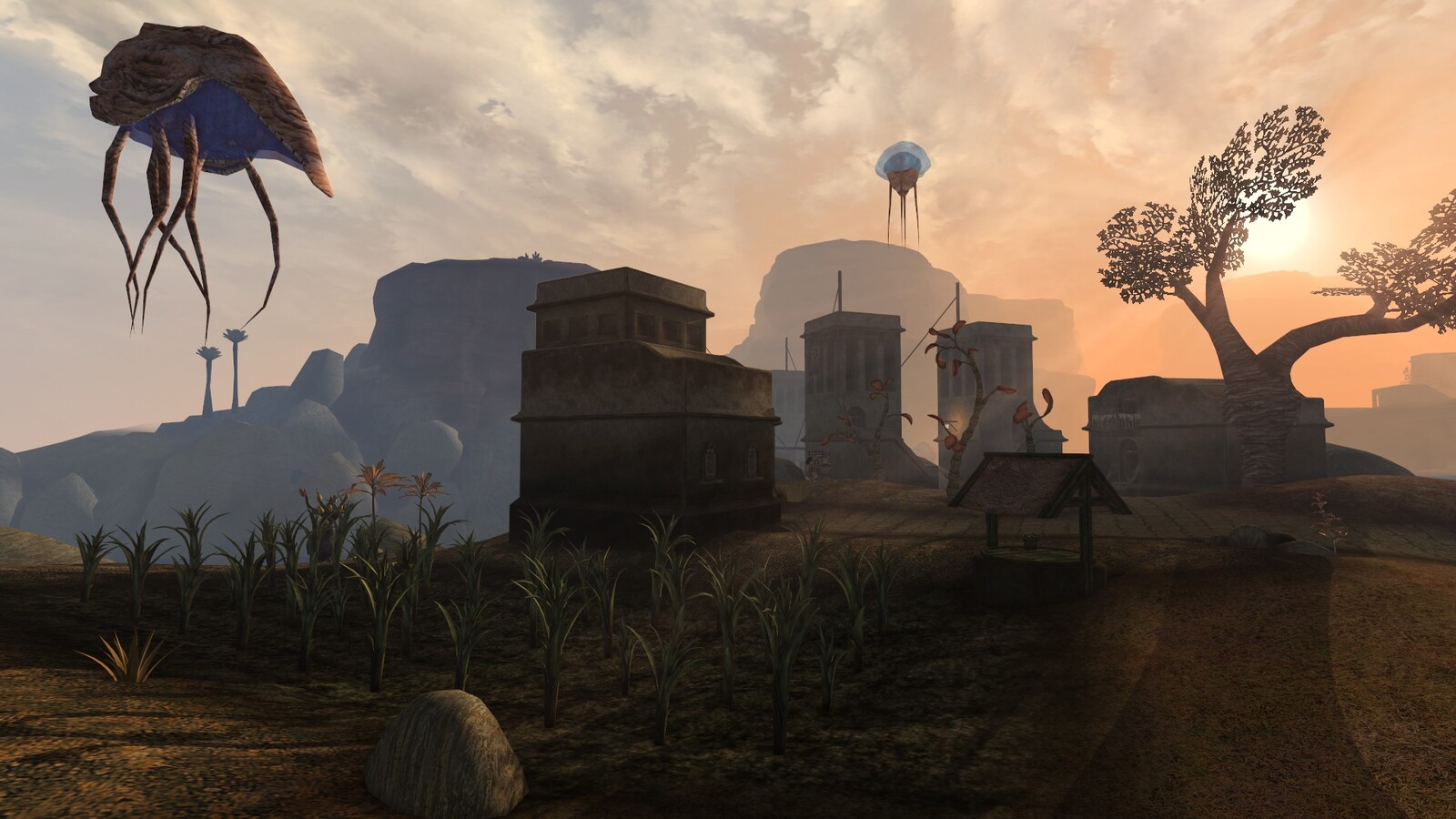 An in-game screenshot of the Tanna models placed as a crop in the field. Exterior work by Chef for Tamriel Rebuilt project.
