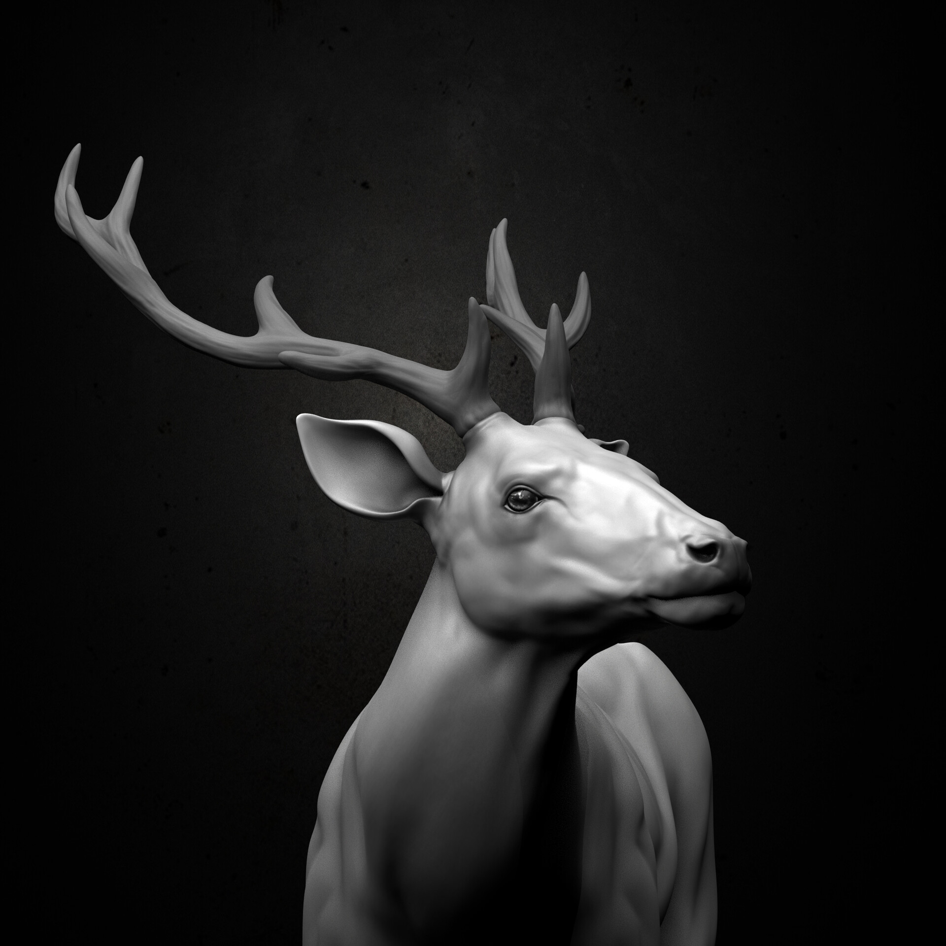 Kiran p. A - Deer_stag