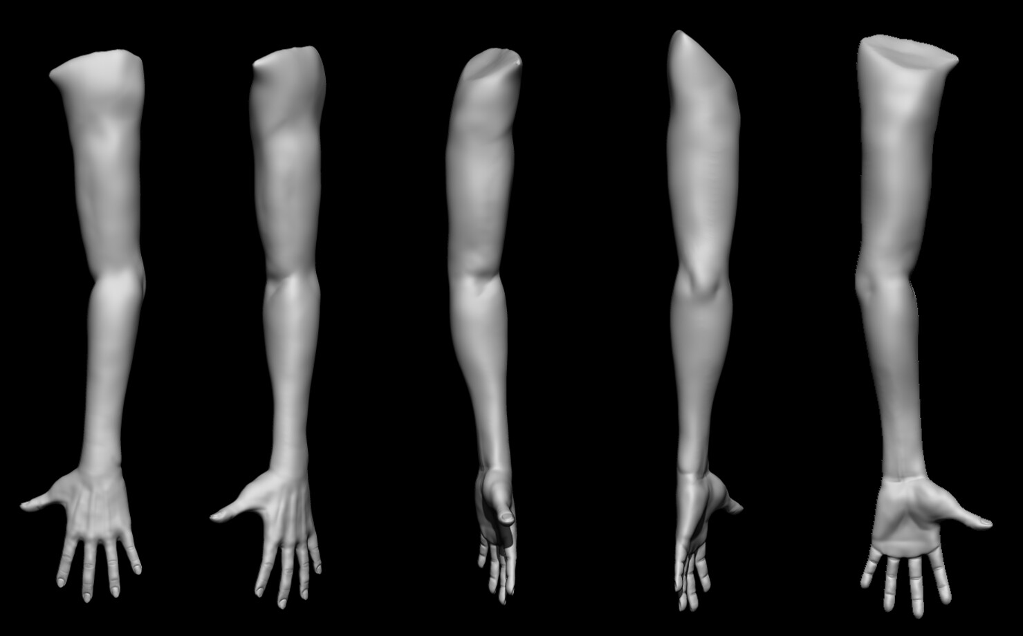 Fares Guettoch - Human Arm Anatomy