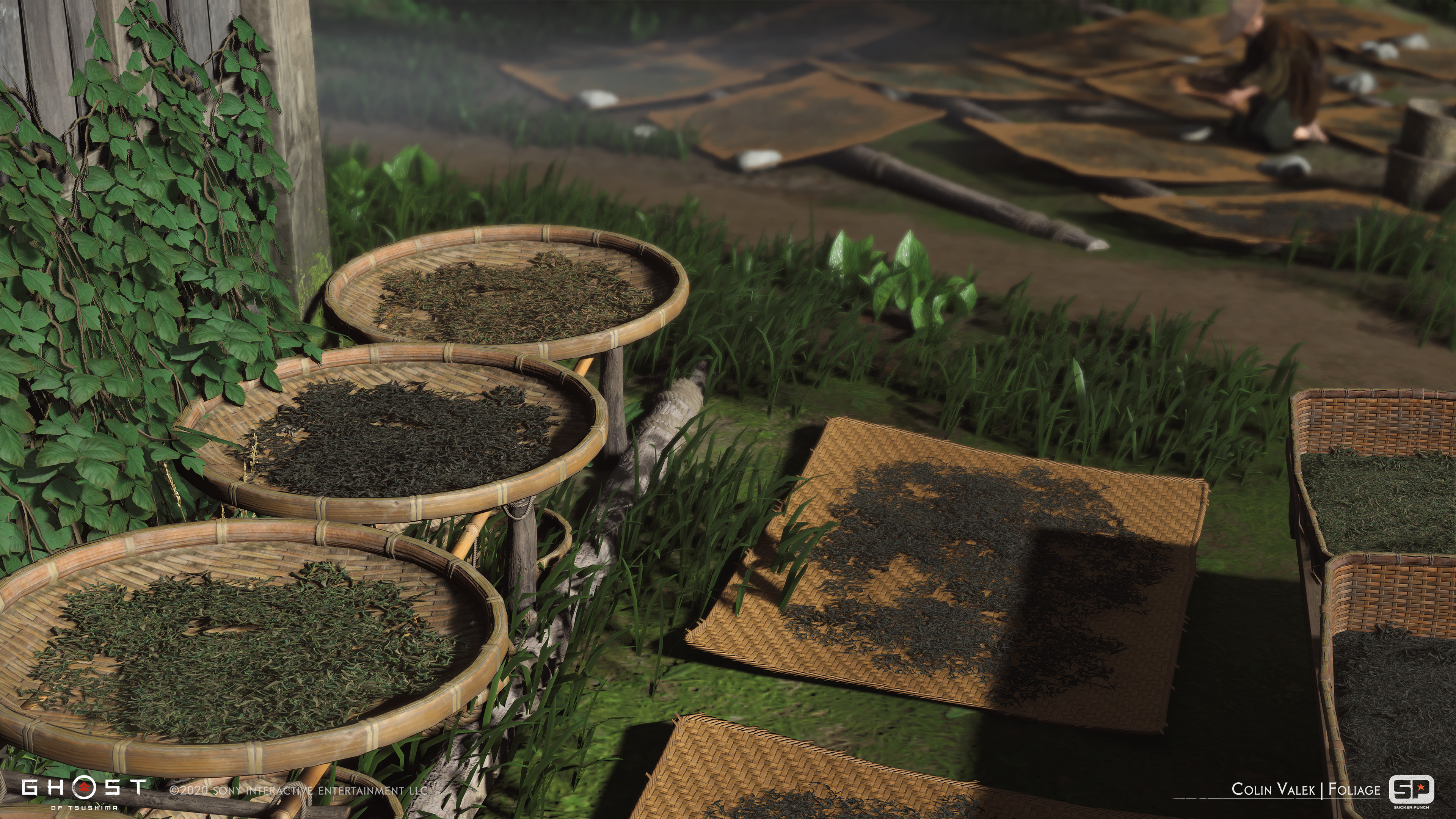 Dried tea leaves