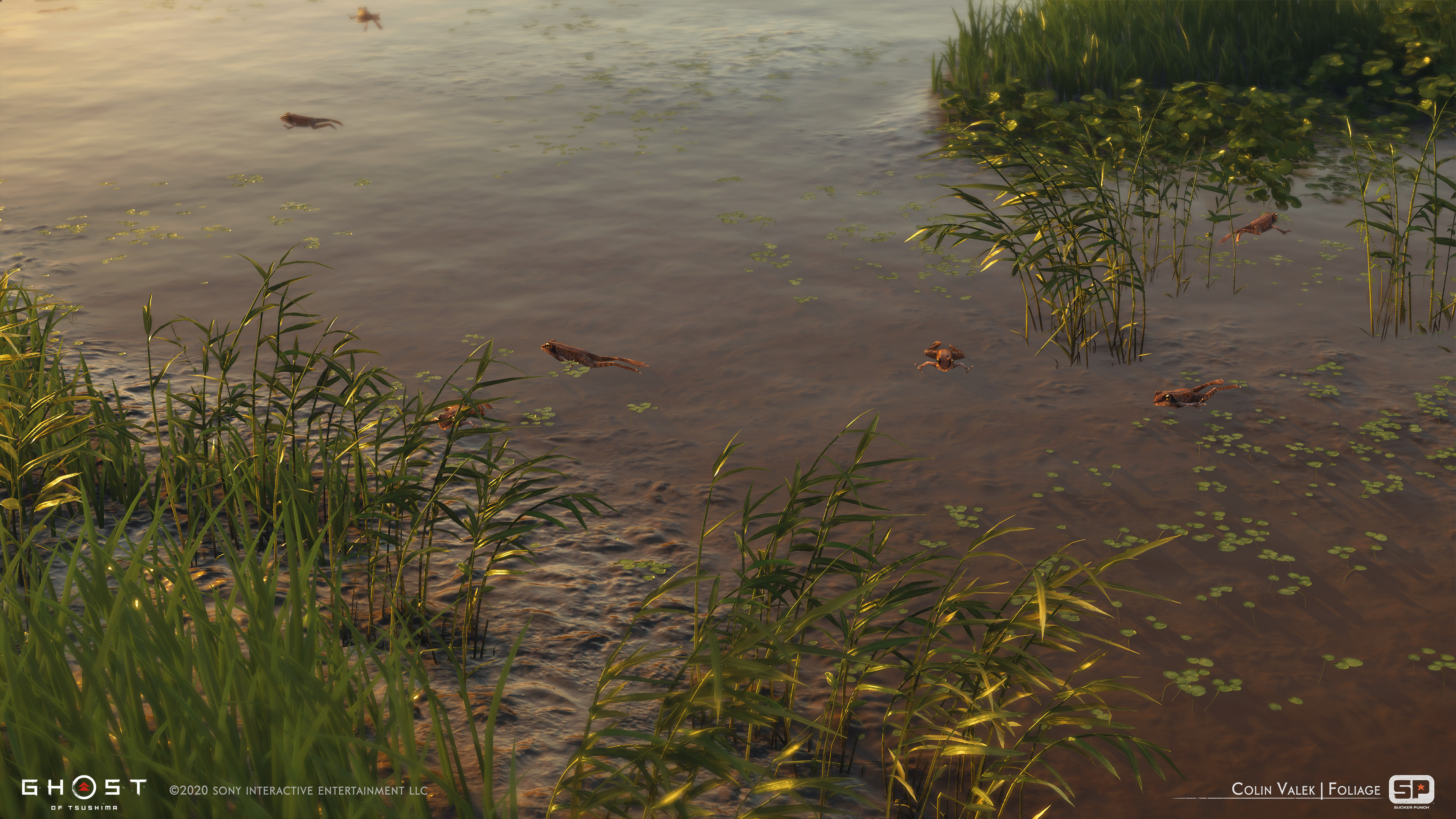 Reeds and other marsh plants