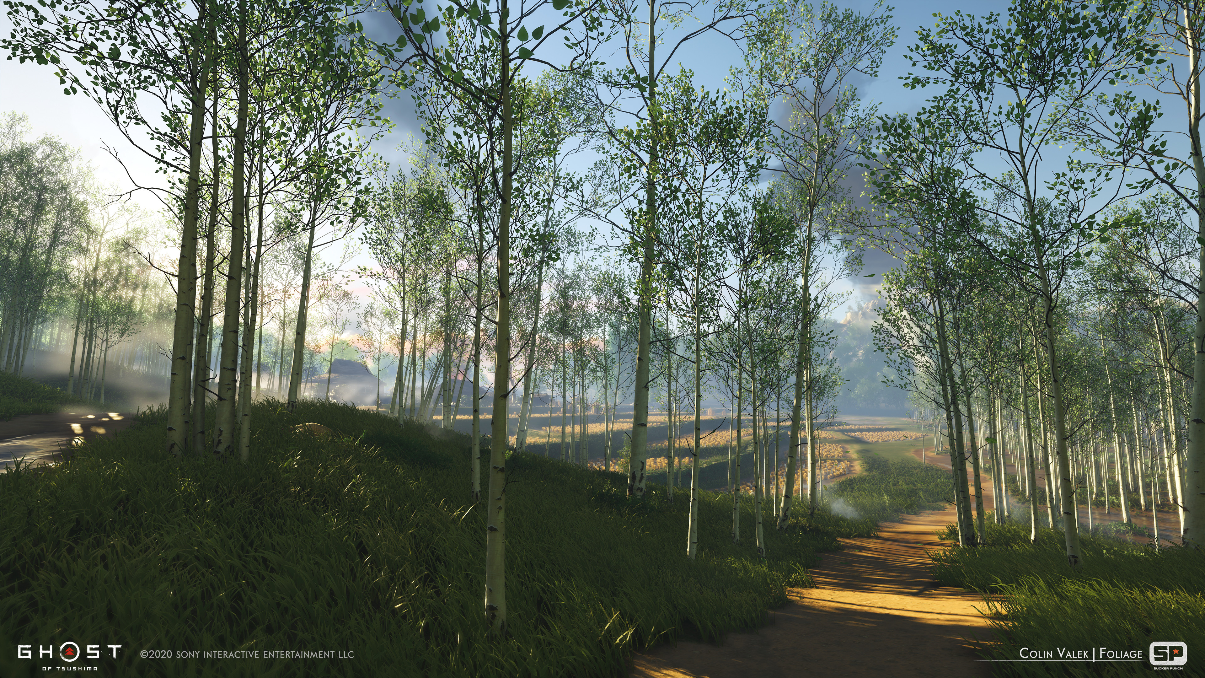 Birch biome