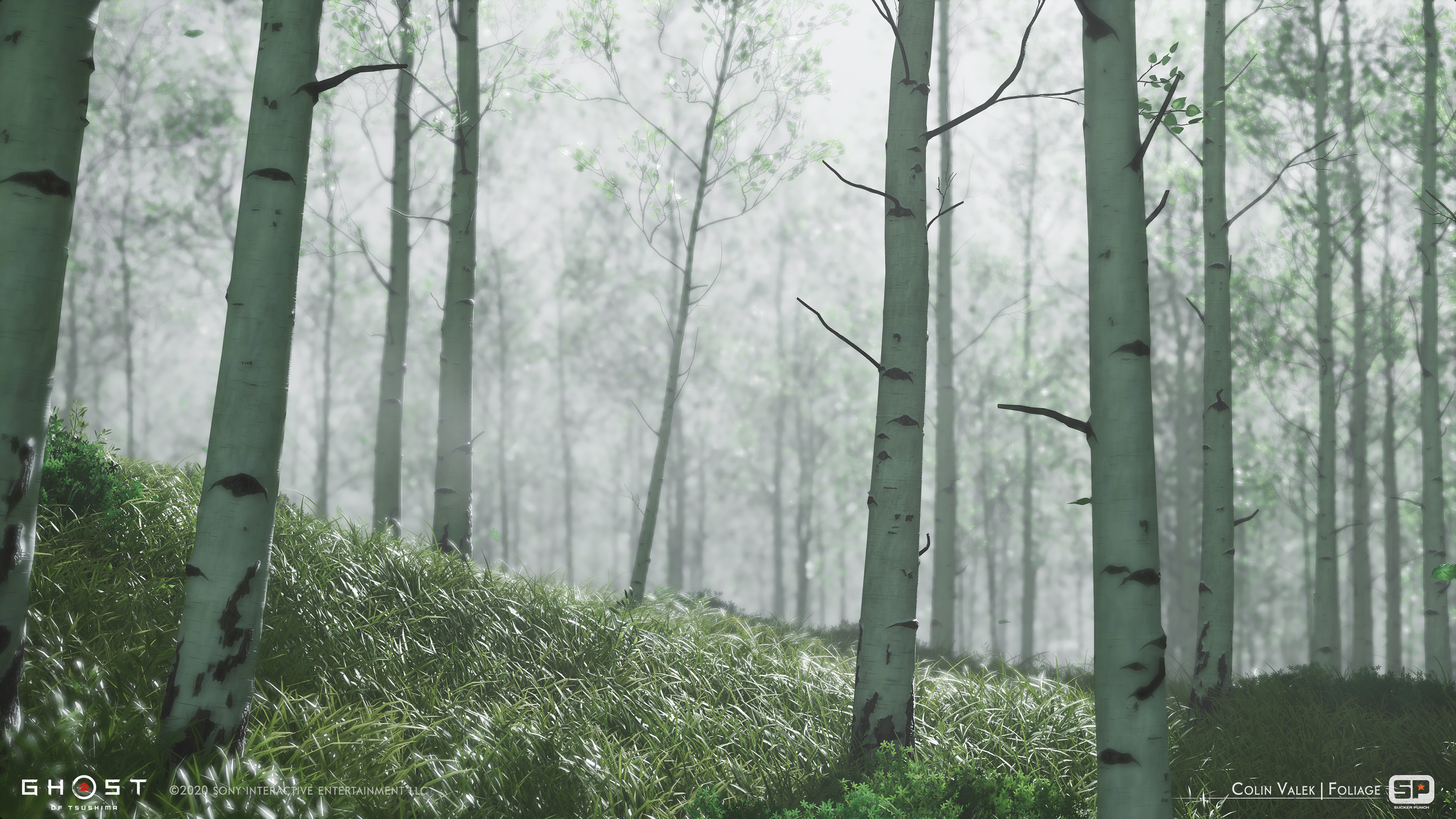 Birch biome