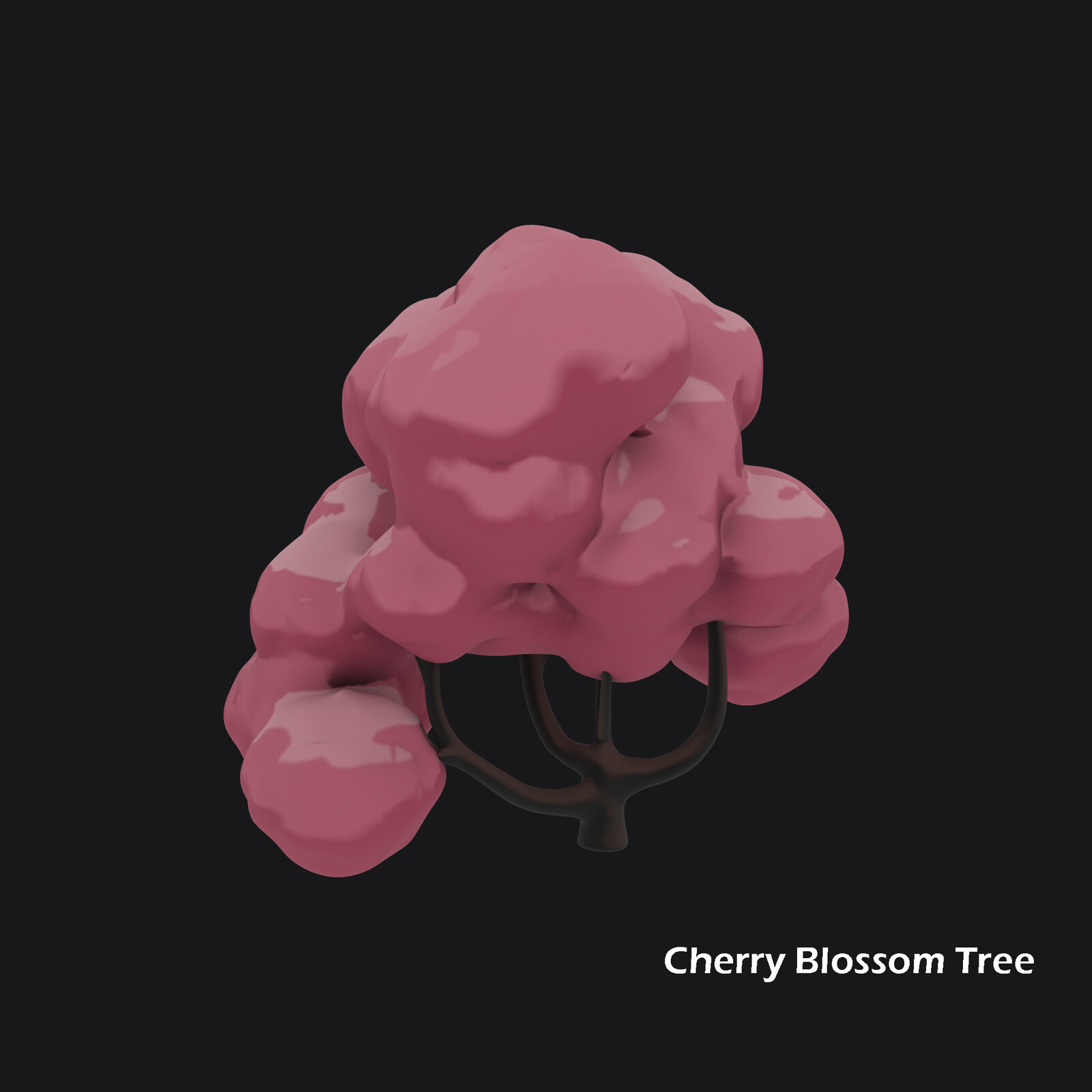 ASSET: Cherry Blossom Tree