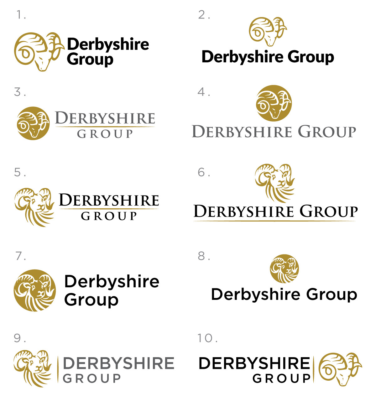 Derbyshire Group Logo Concepts