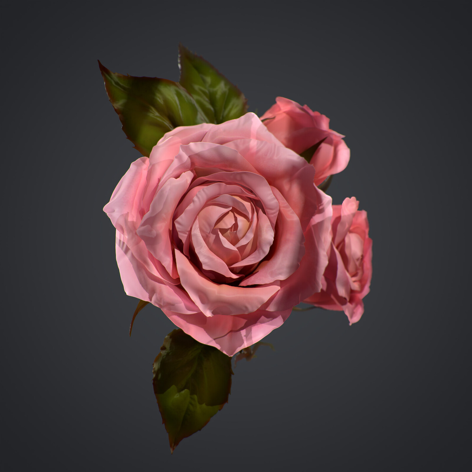 Rose - a study created to test Zbrush 2021's cloth brushes, rendered in Marmoset Toolbag 3