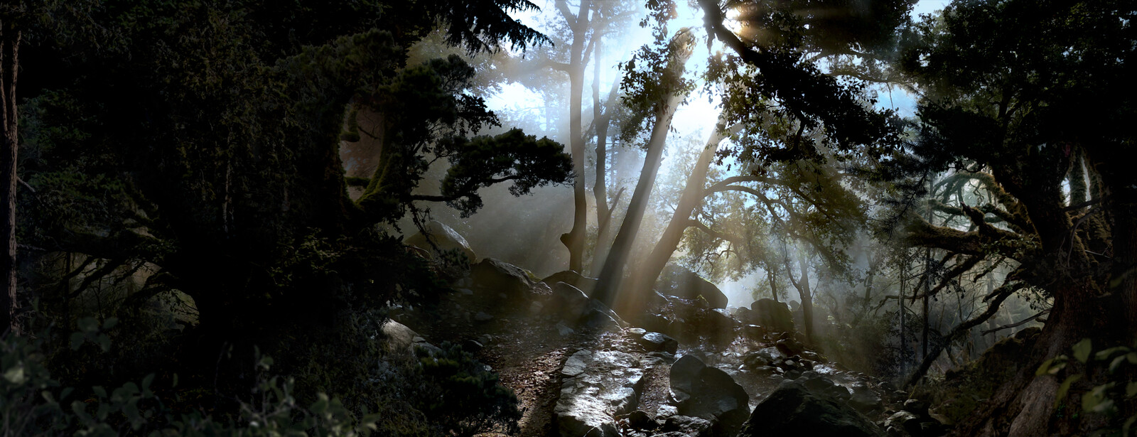 Woods