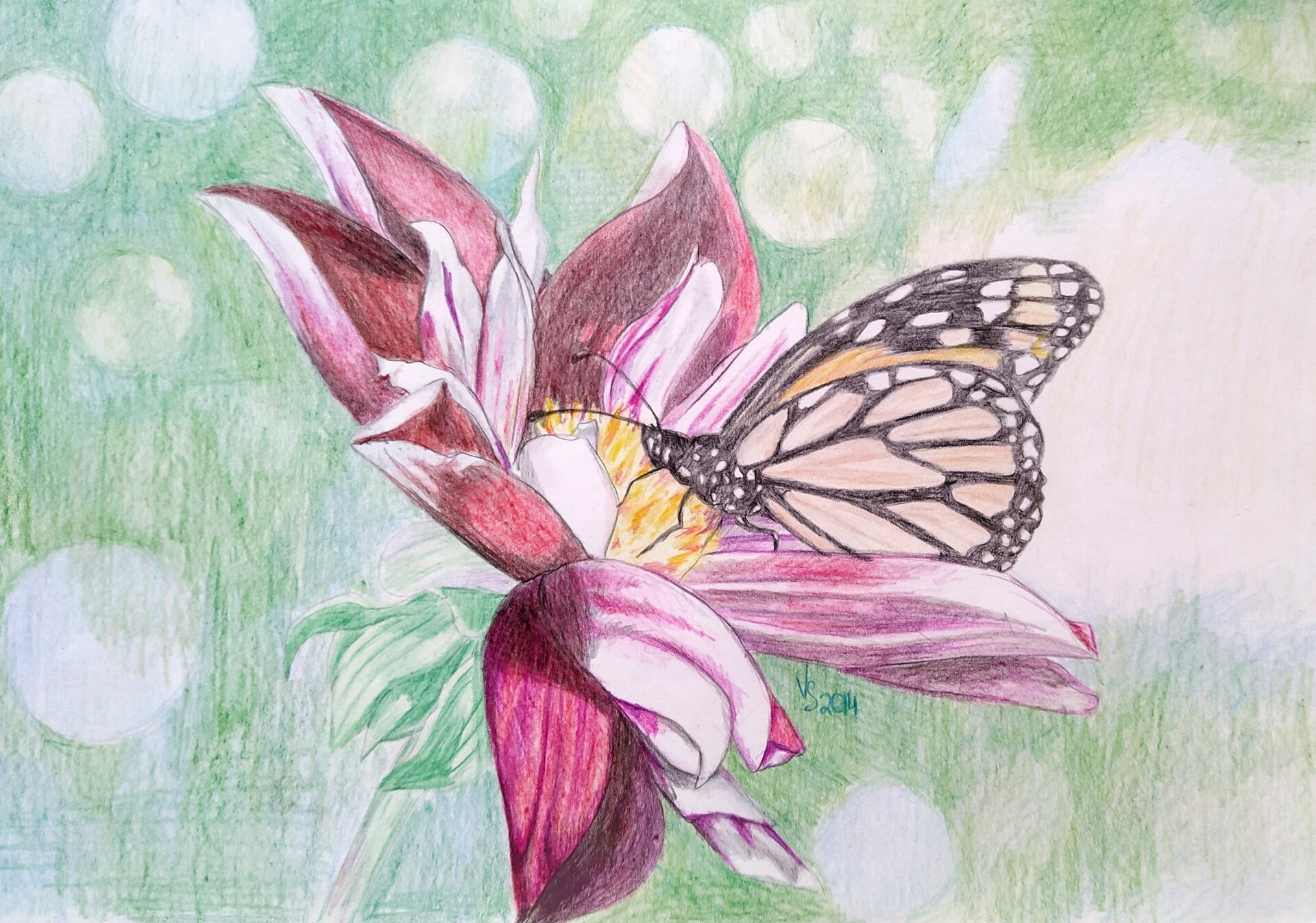 Кратко разноцветная бабочка. Бабочка цветными карандашами. Цветы цветными карандашами. Рисование цветными карандашами. Бабочка рисунок карандашом.