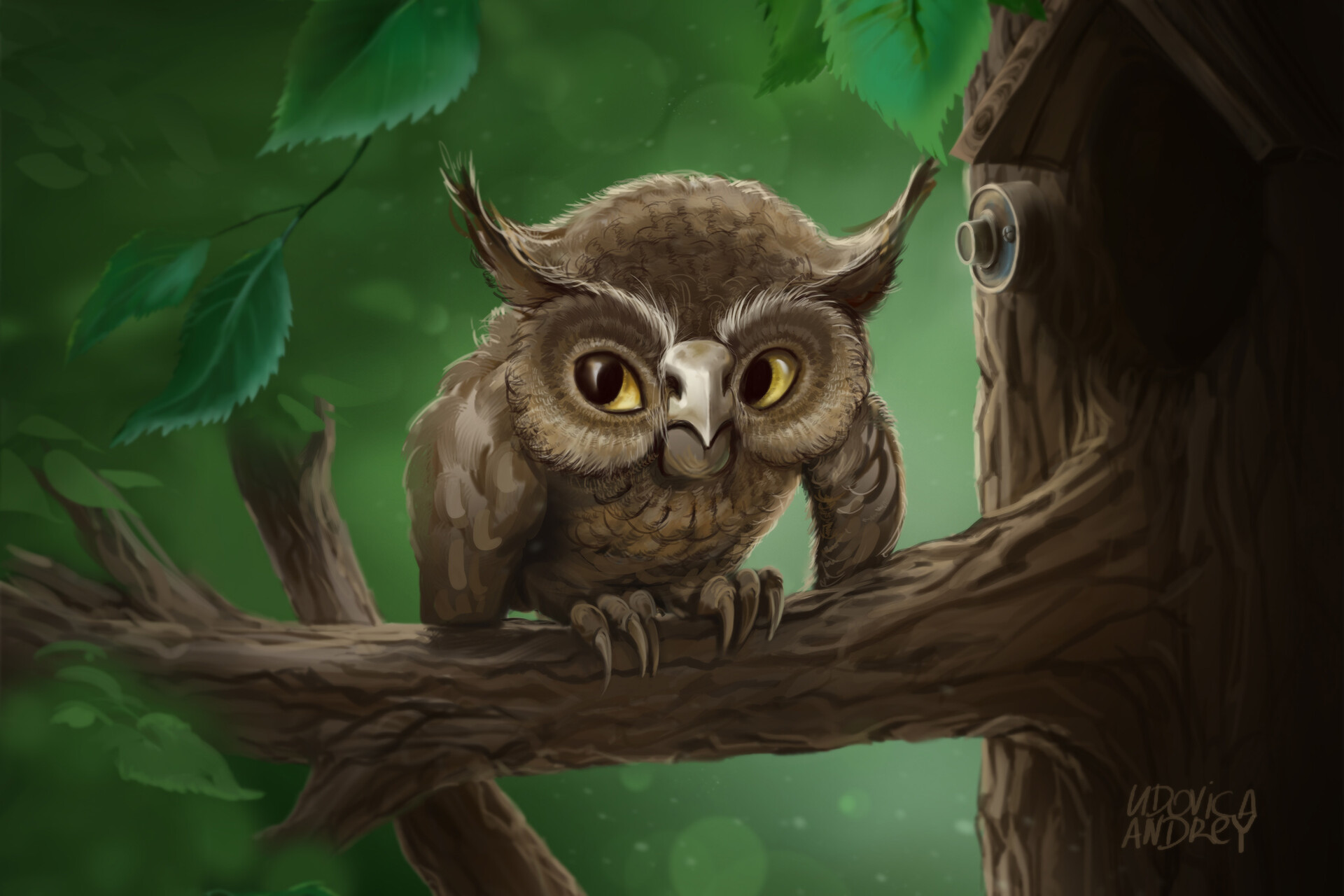 ArtStation - Owl