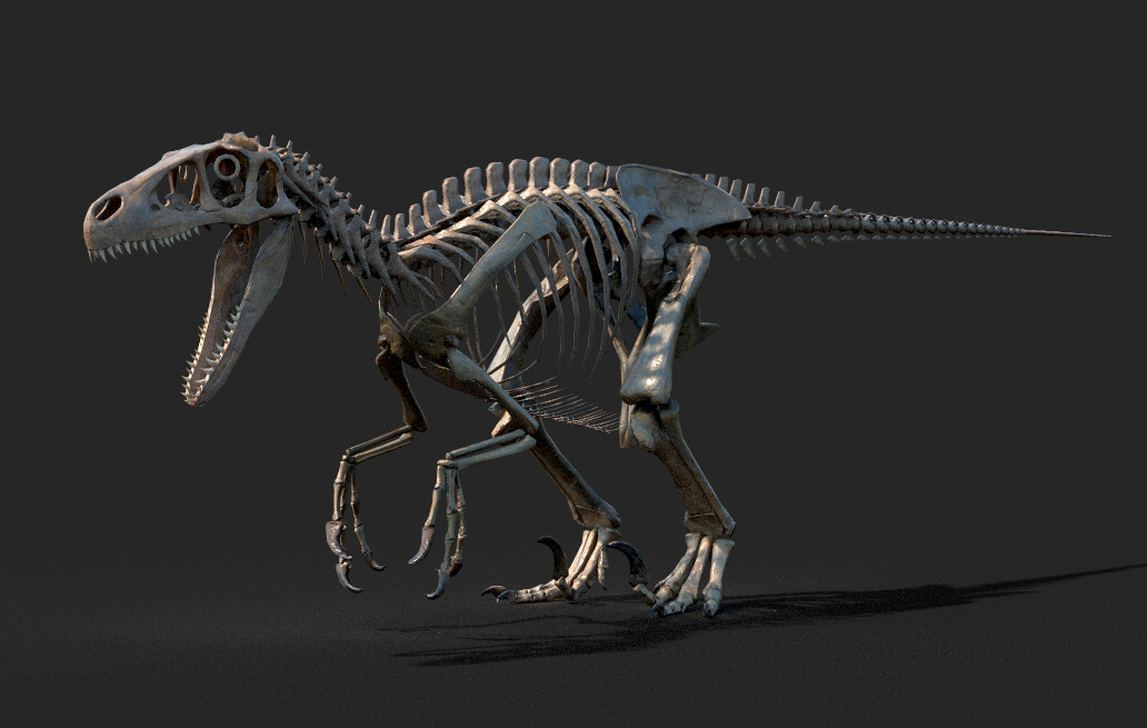 Bones are a 1-1 replica of the utahraptor skeleton at the BYU dinosaur museum. Scan data provided by Galatea Digital. 