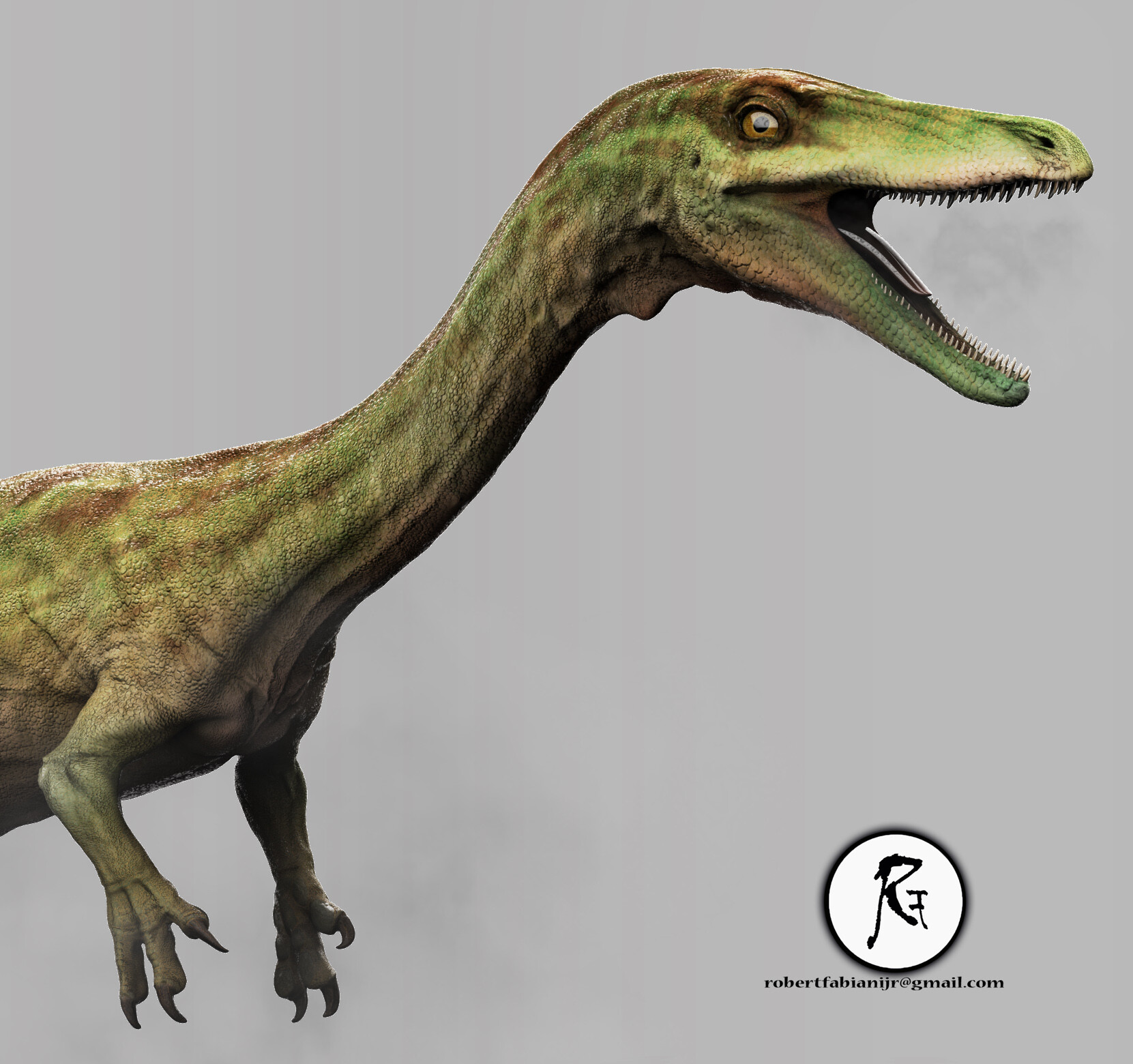 Robertf1111 Coelophysis
