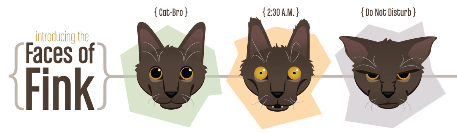 Faces of Fink
These are the faces my cat, Fink, makes.