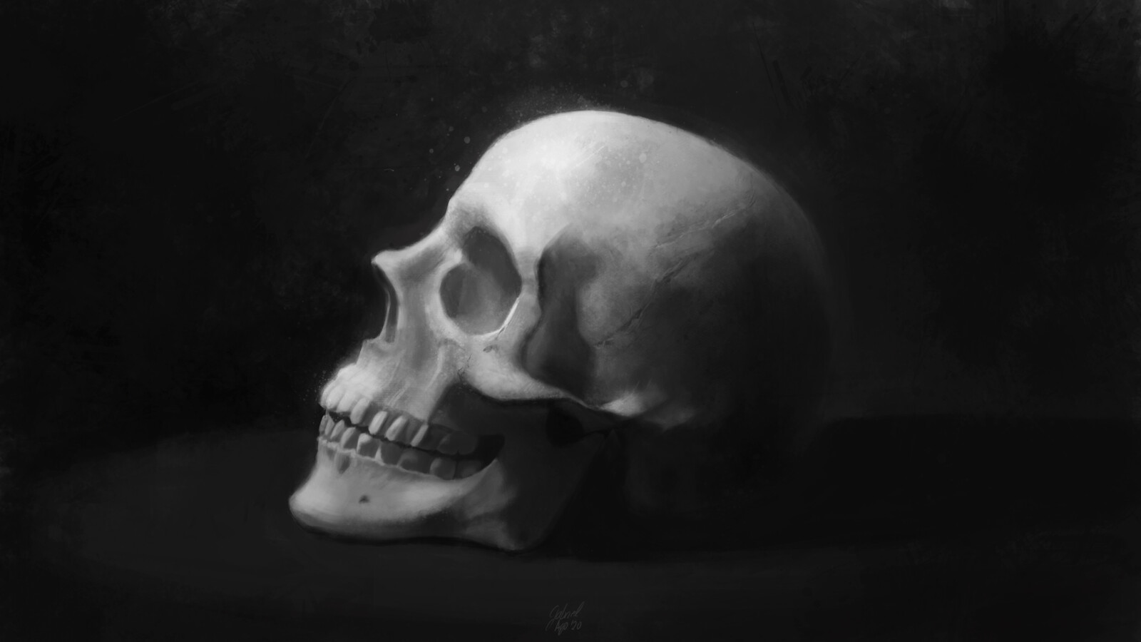 Skull study