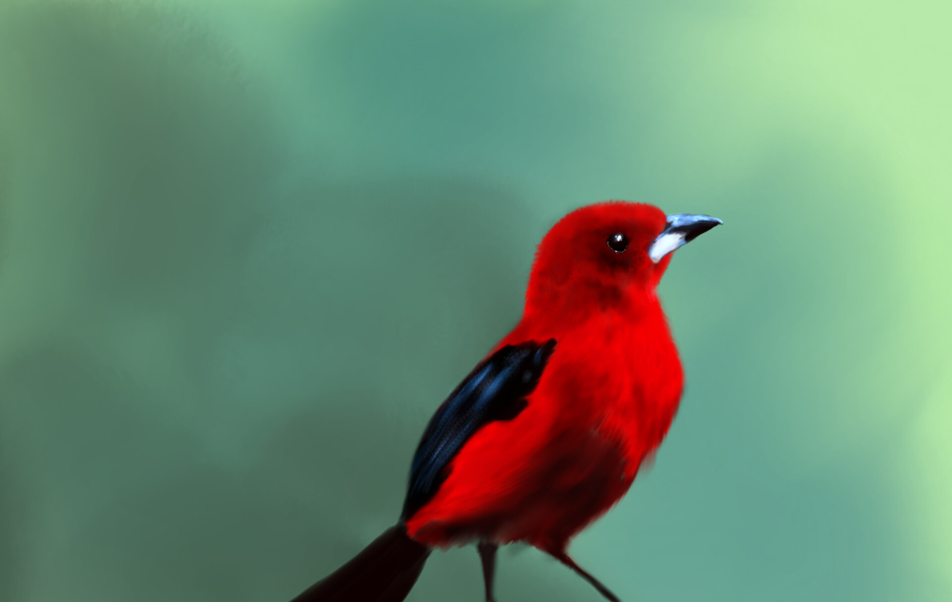 Ezolia Little red bird