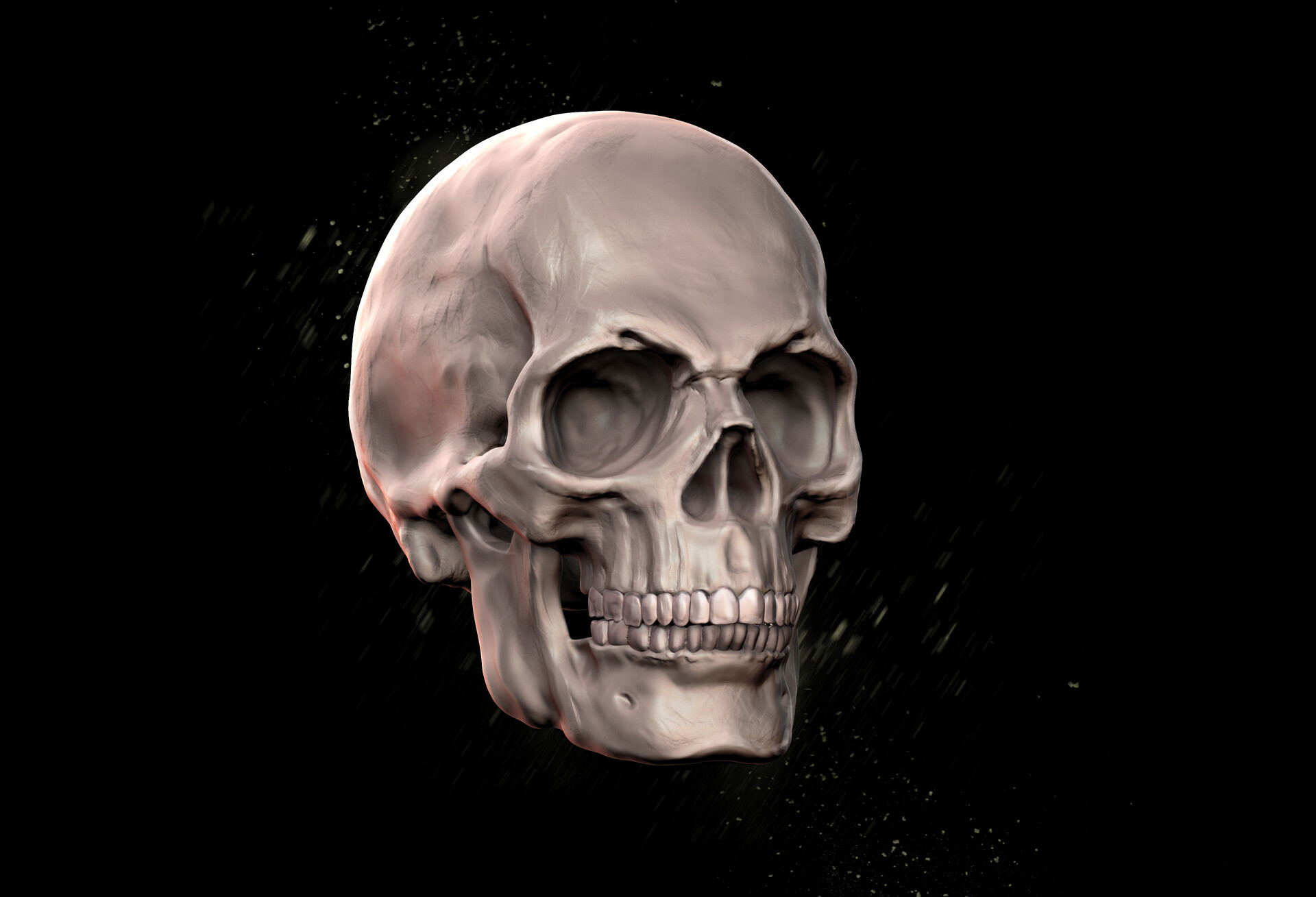 Skull, Thiago Conti.