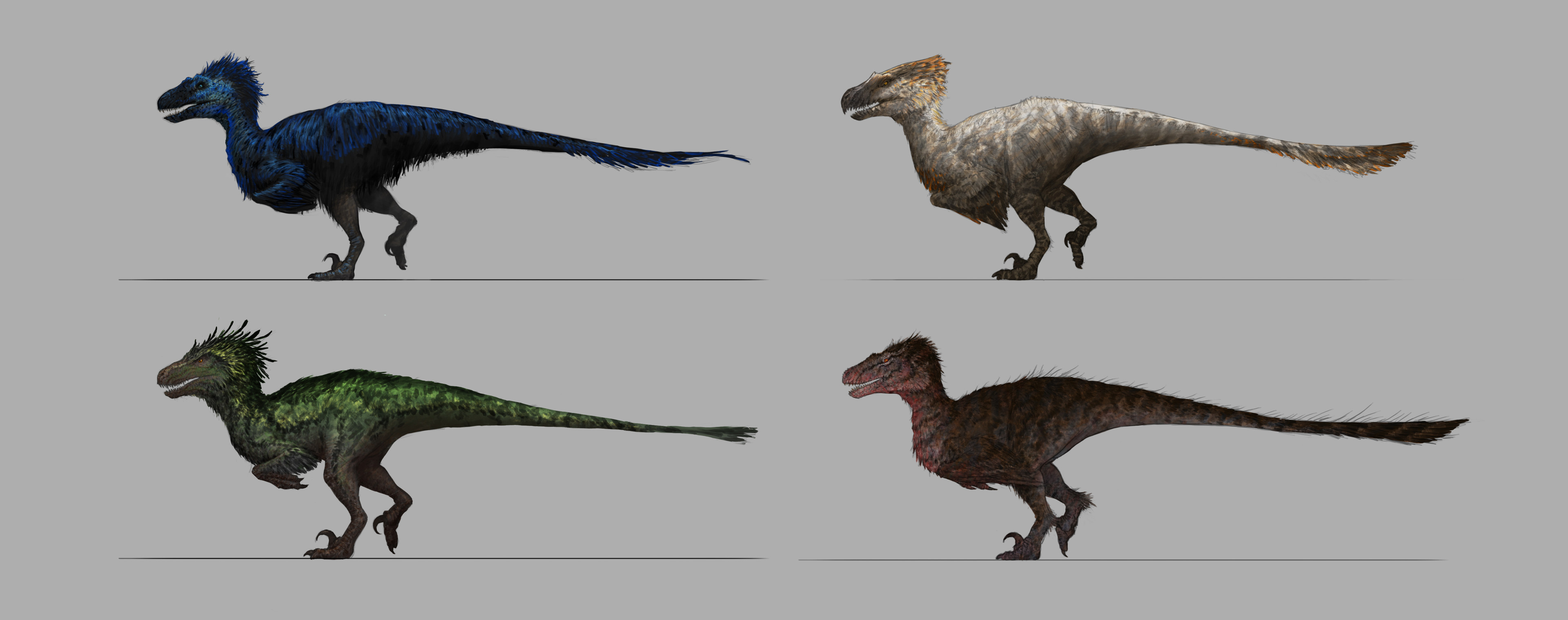 Initial color/plumage thumbnails. Taking inspiration from various real world creatures. 