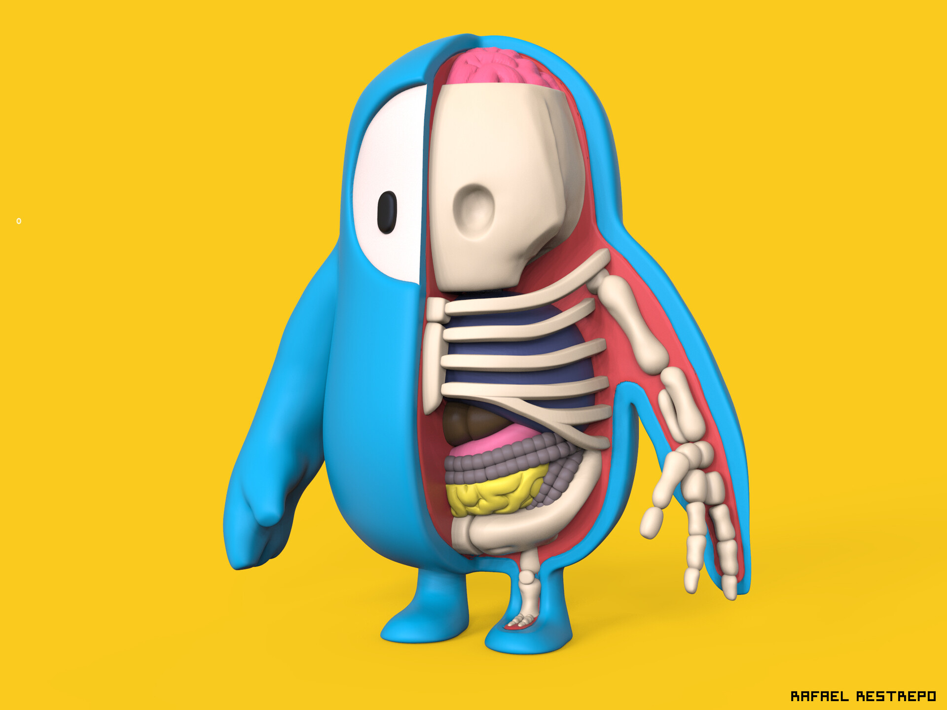 Artstation fall guys anatomy