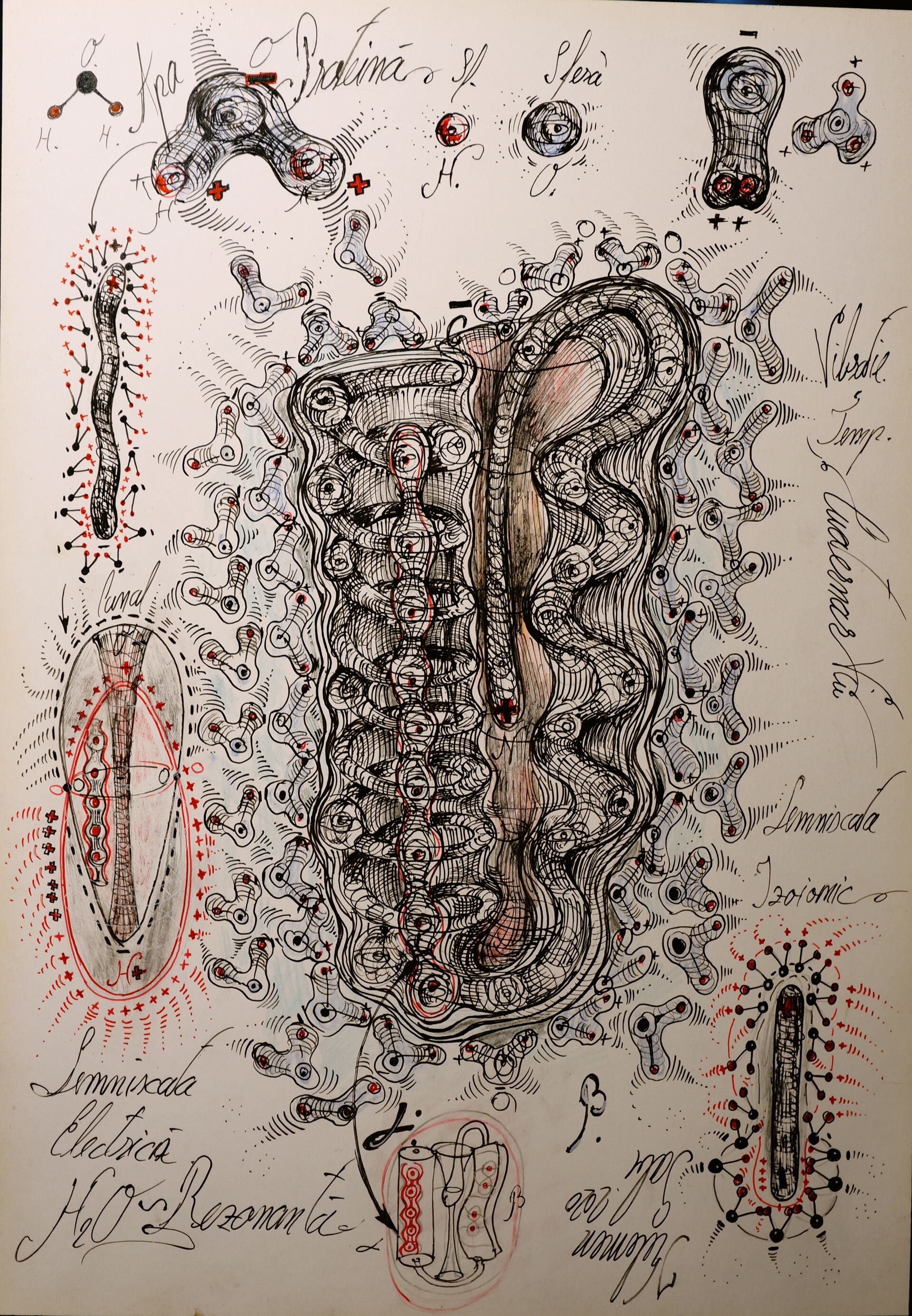 Artstation Protein Quinary Structure Gabriel Kelemen,Pencil Japanese Cherry Blossom Tree Tree Drawing With Color