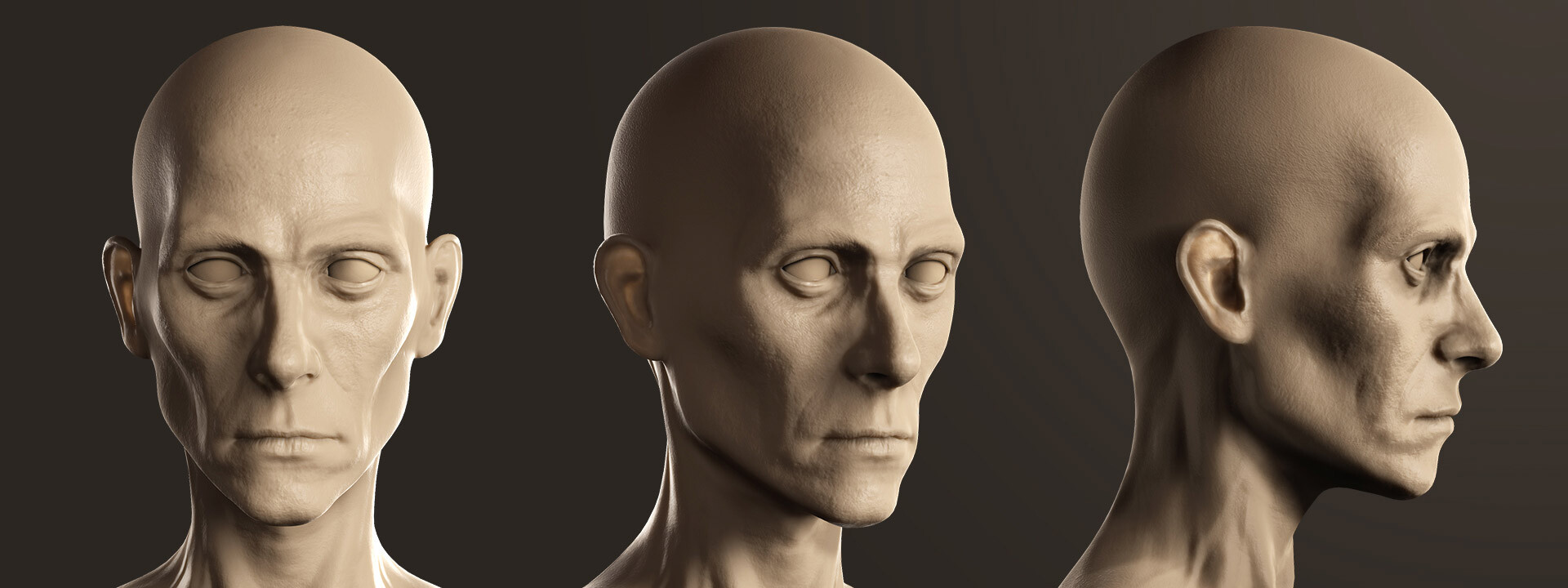 Reallusion Inc. - Digital Human: Skinny Male