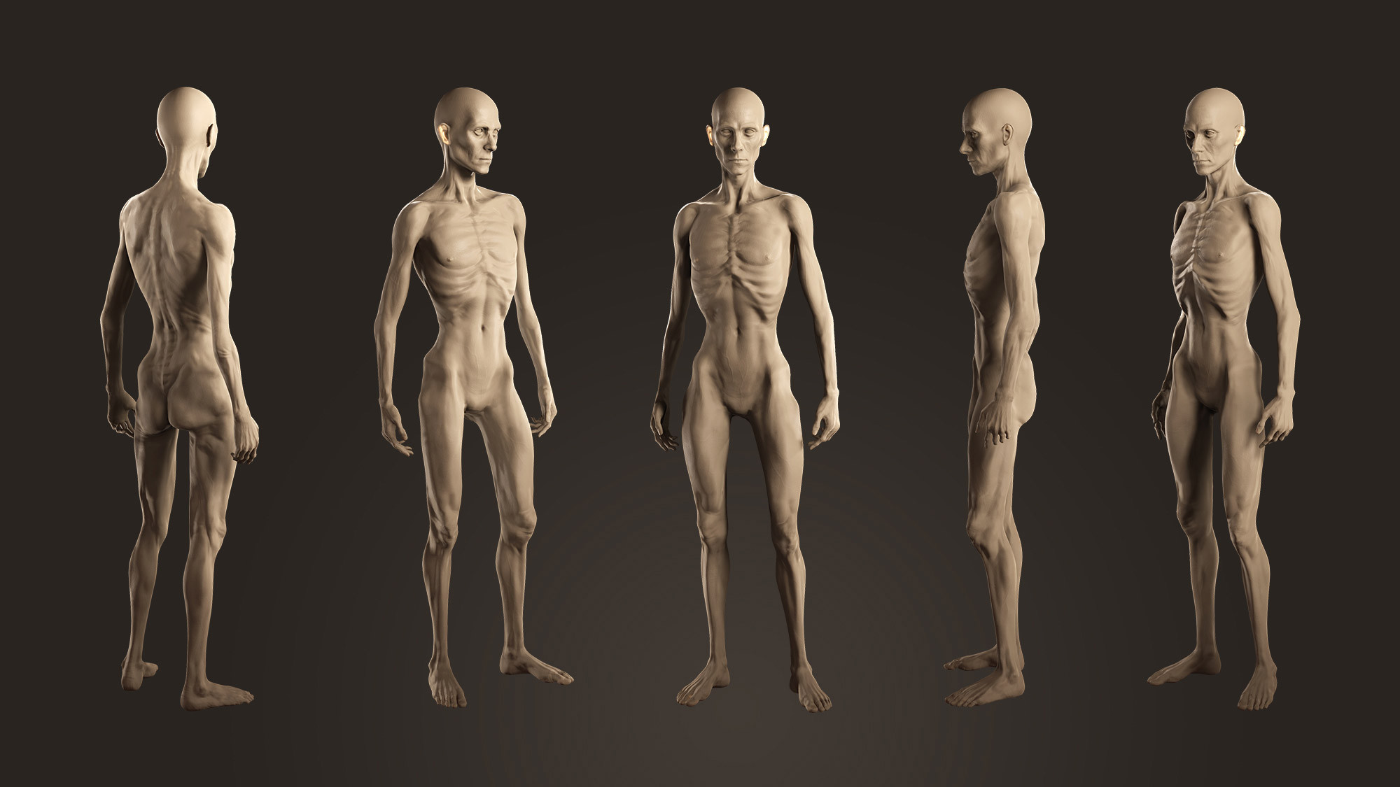 Male Body Mannequin Composition, Vectors