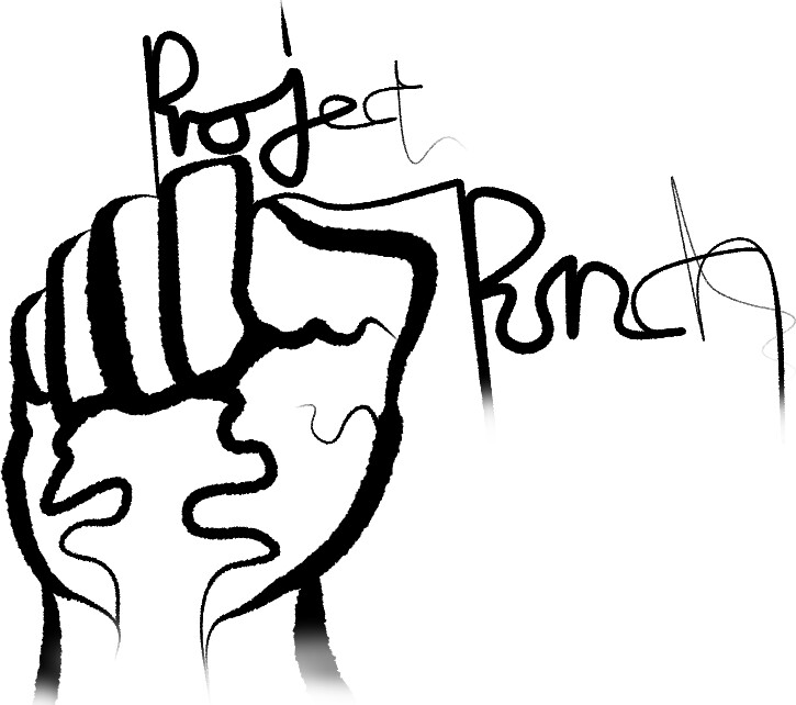 Project Punch