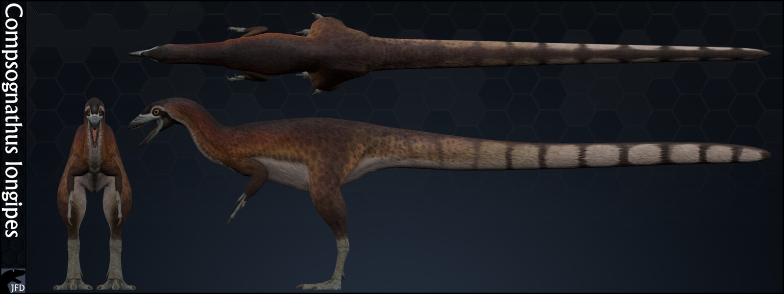 Compsognathus longipes multi-view render.