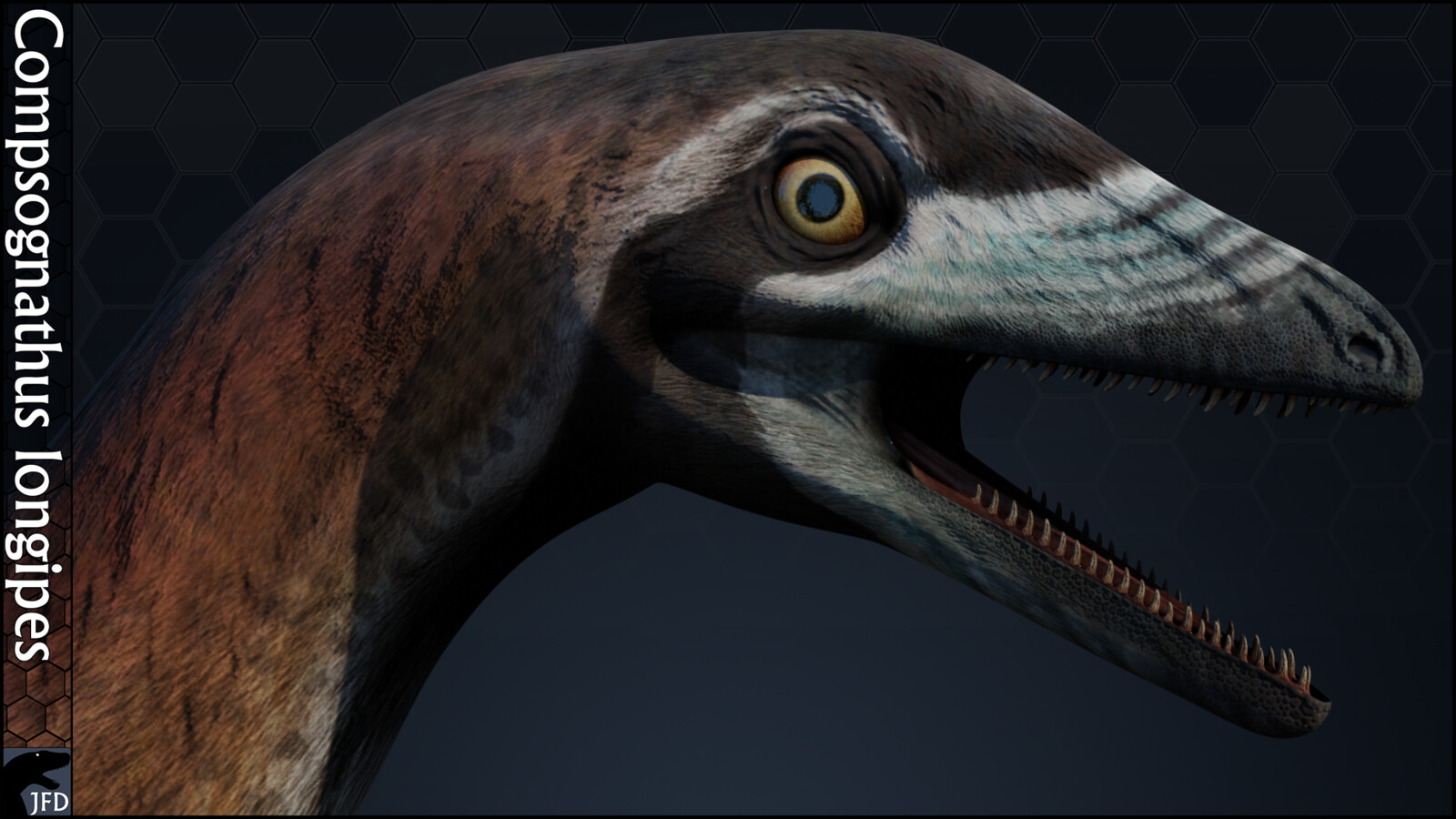 Compsognathus longipes head full render.