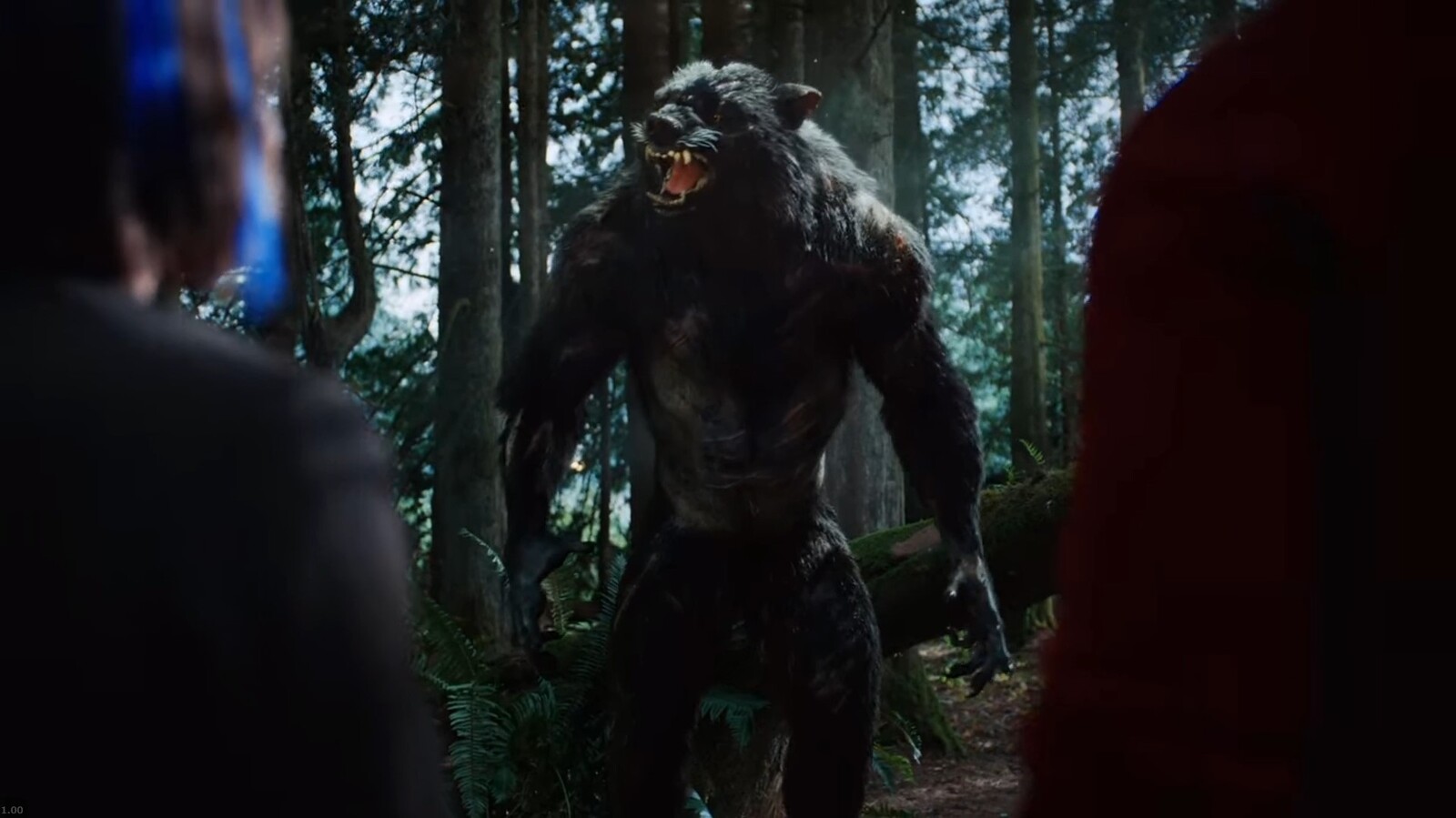 The Order Season 2 - Werewolves