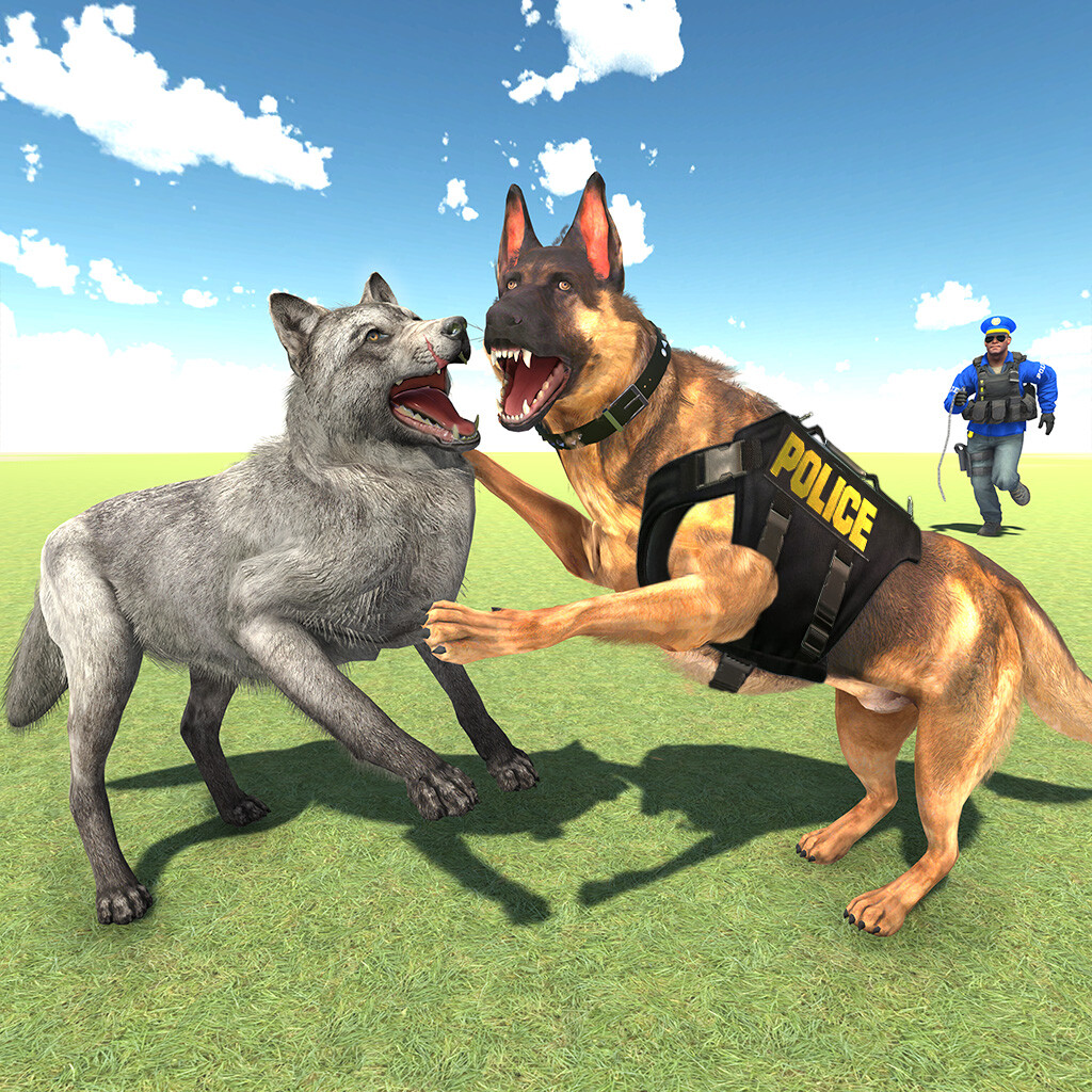 awais ilyas police dog vs wolf