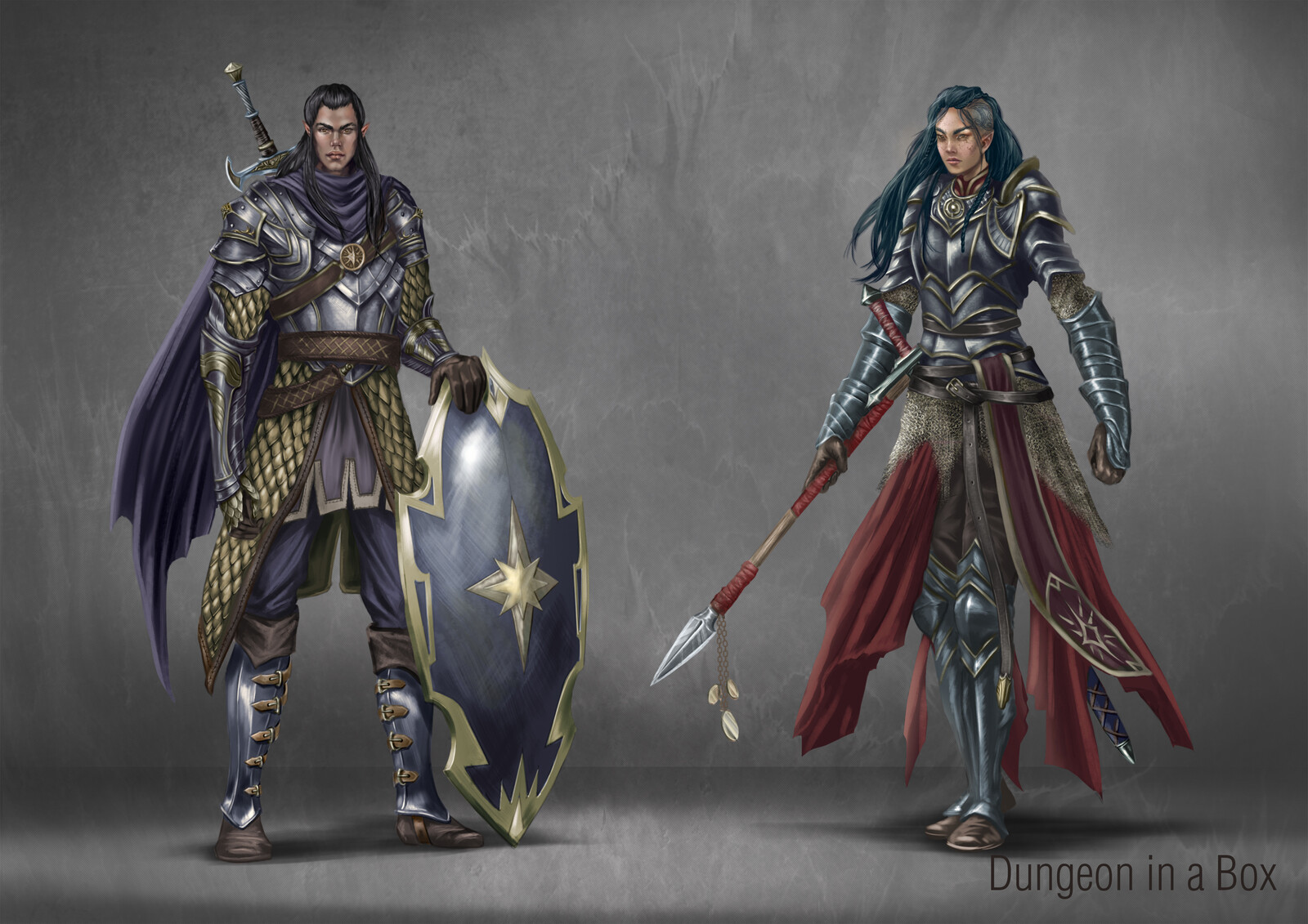Half-Elf Paladin