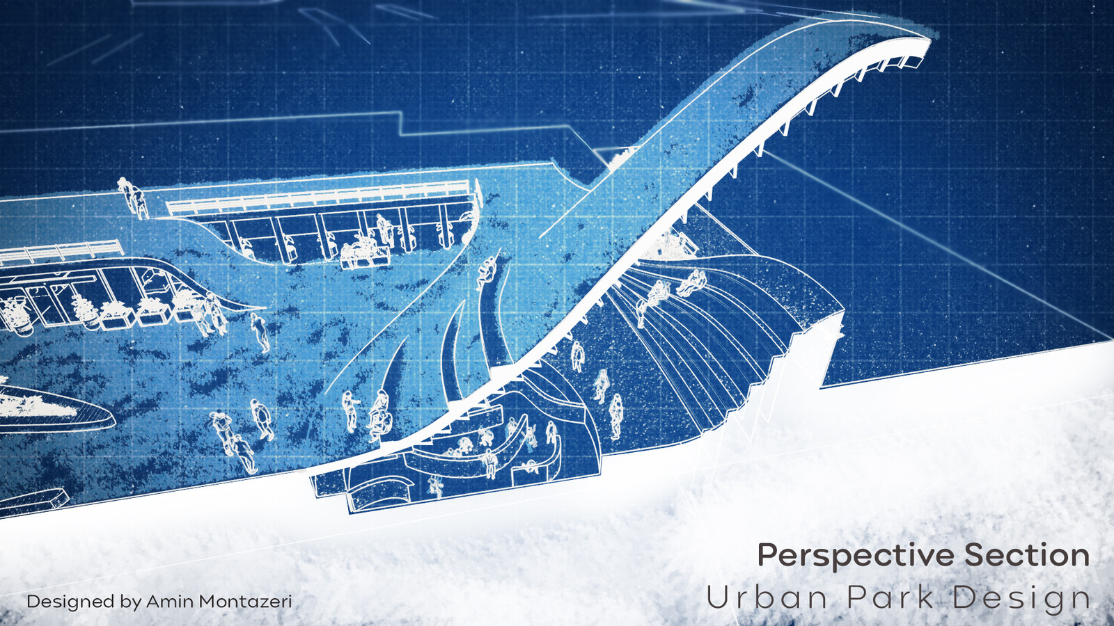Perspective Section