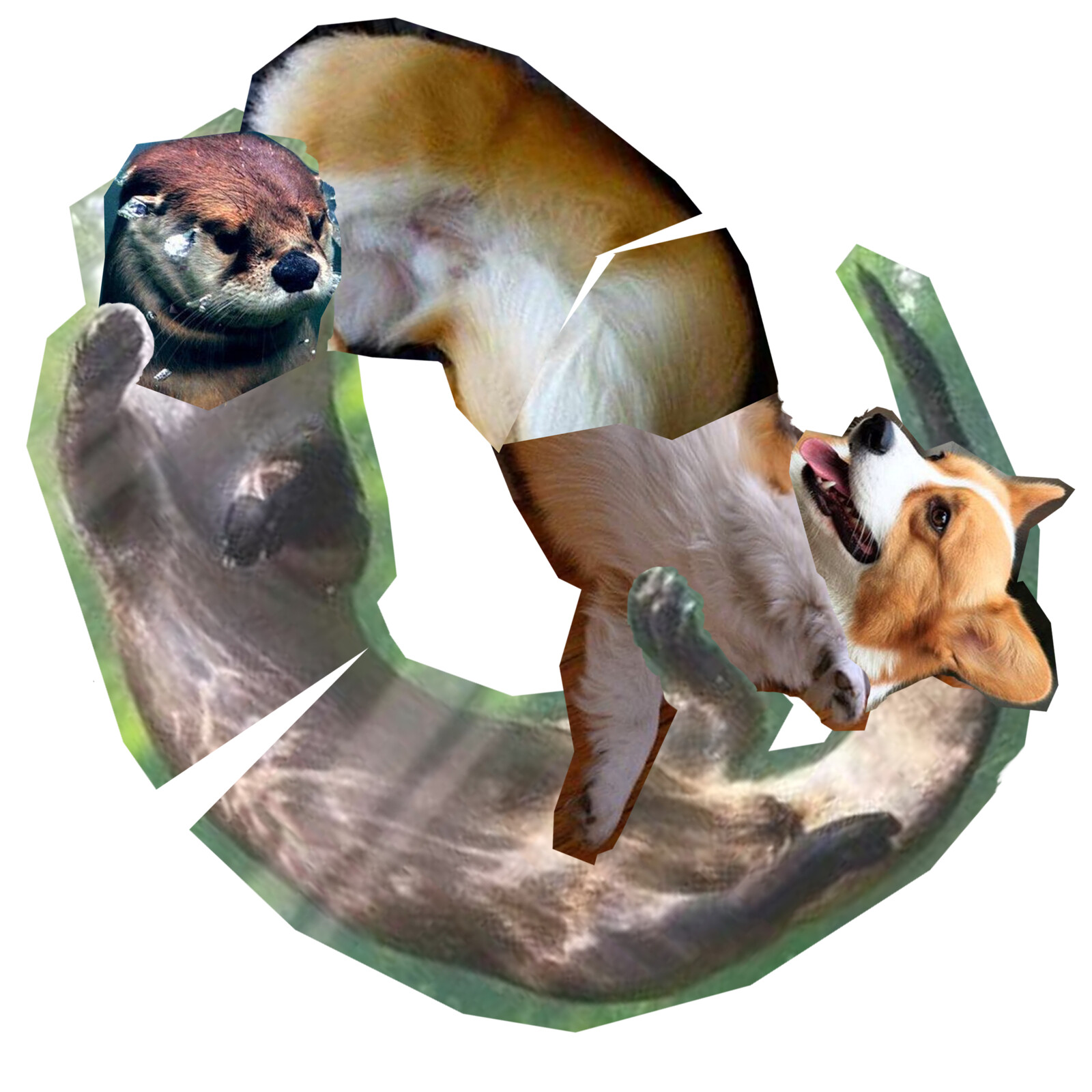 I photo-bashed several images of river otters and corgi's together for reference. This helped me stay true to their anatomy while posing them.