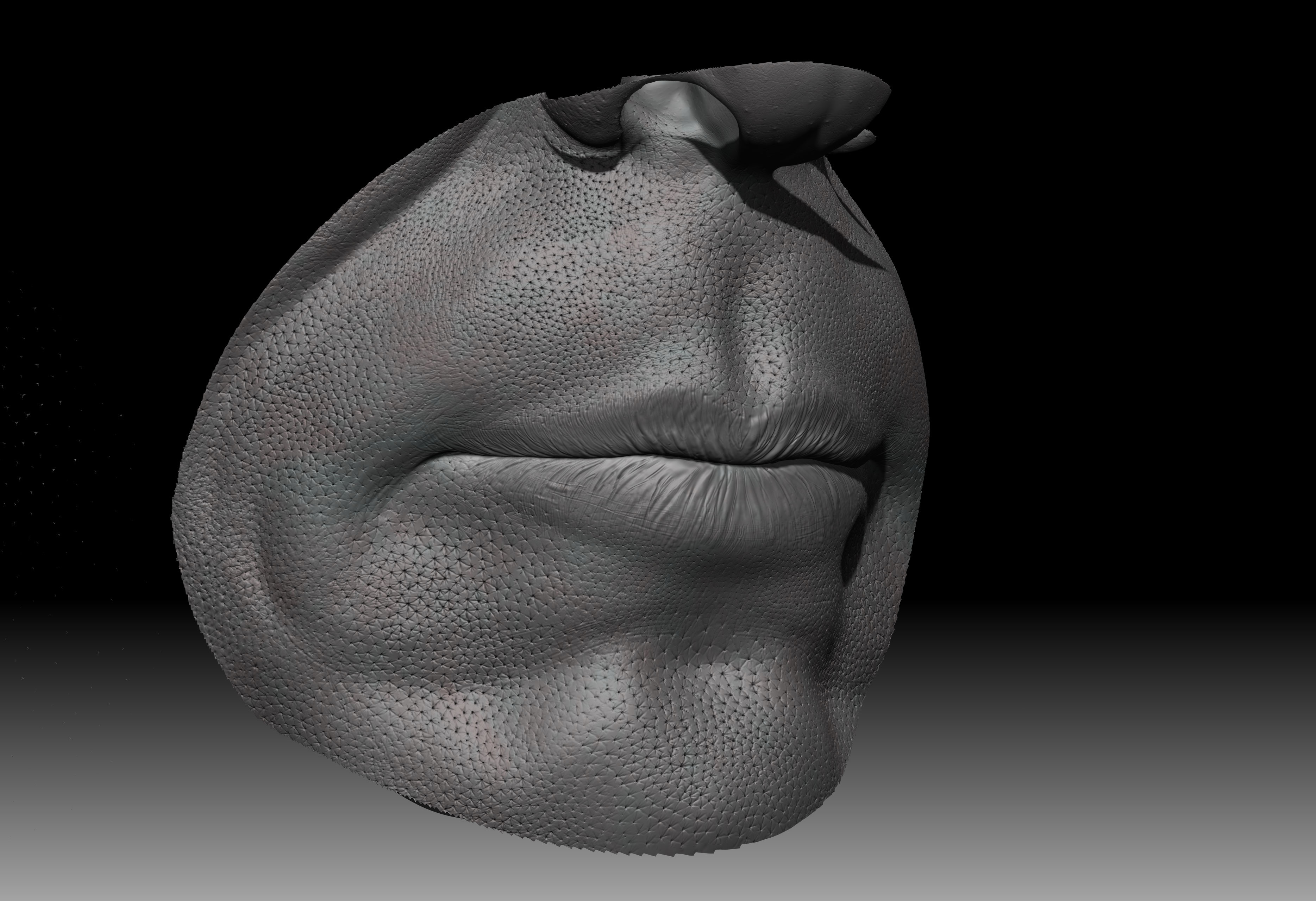 mouth 
