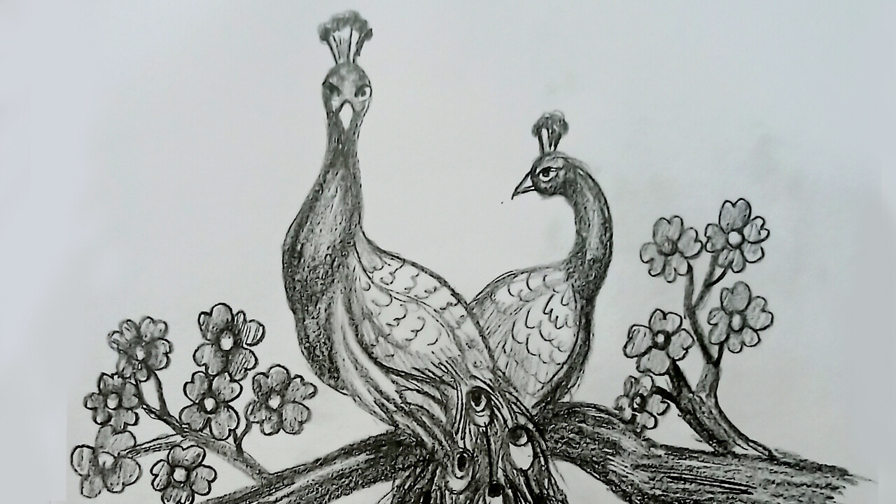 A beautiful peacock sit on the tree Vector  Stock Illustration  79801282  PIXTA