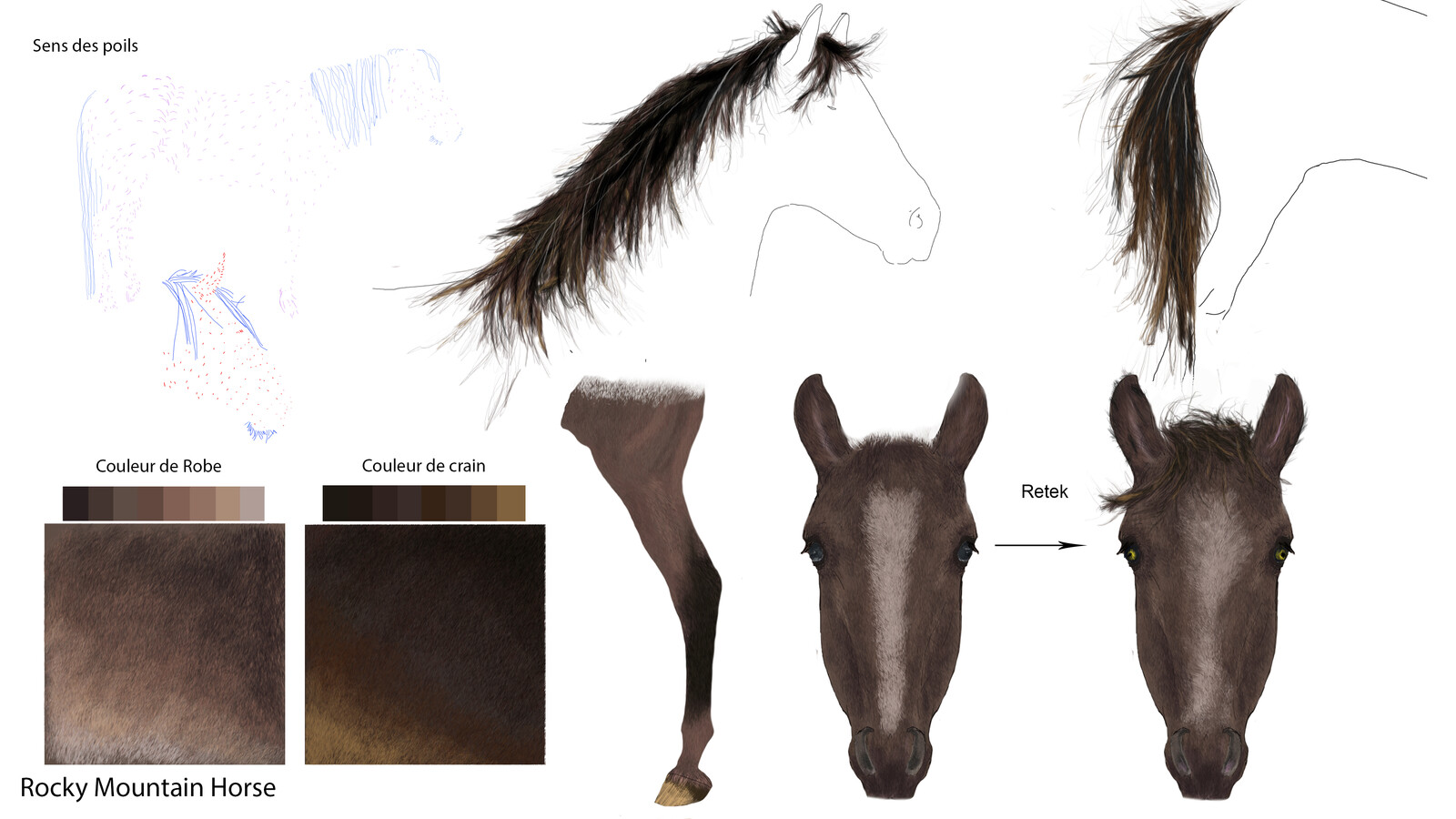Color research