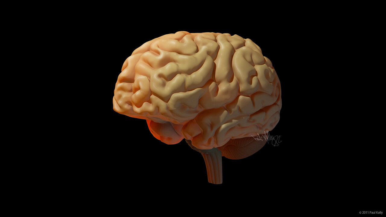 paul kelly the brain