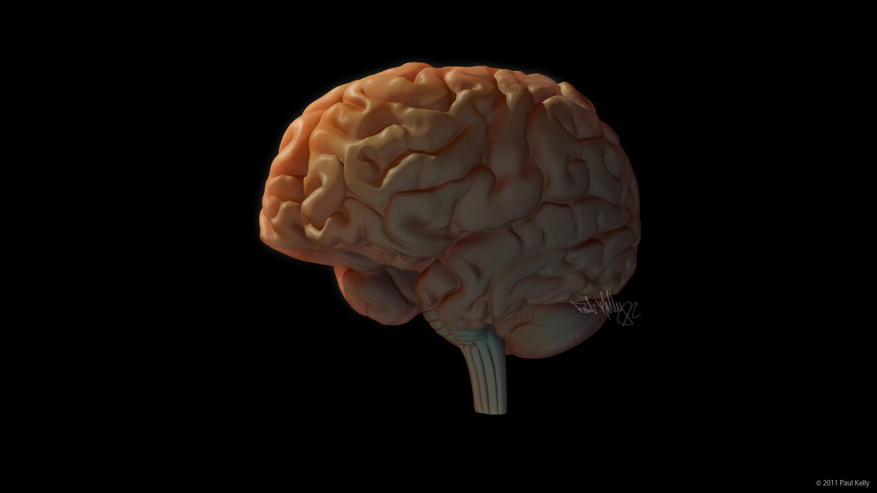 paul kelly the brain