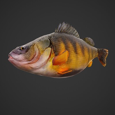 Artstation Get Dead Entertainment