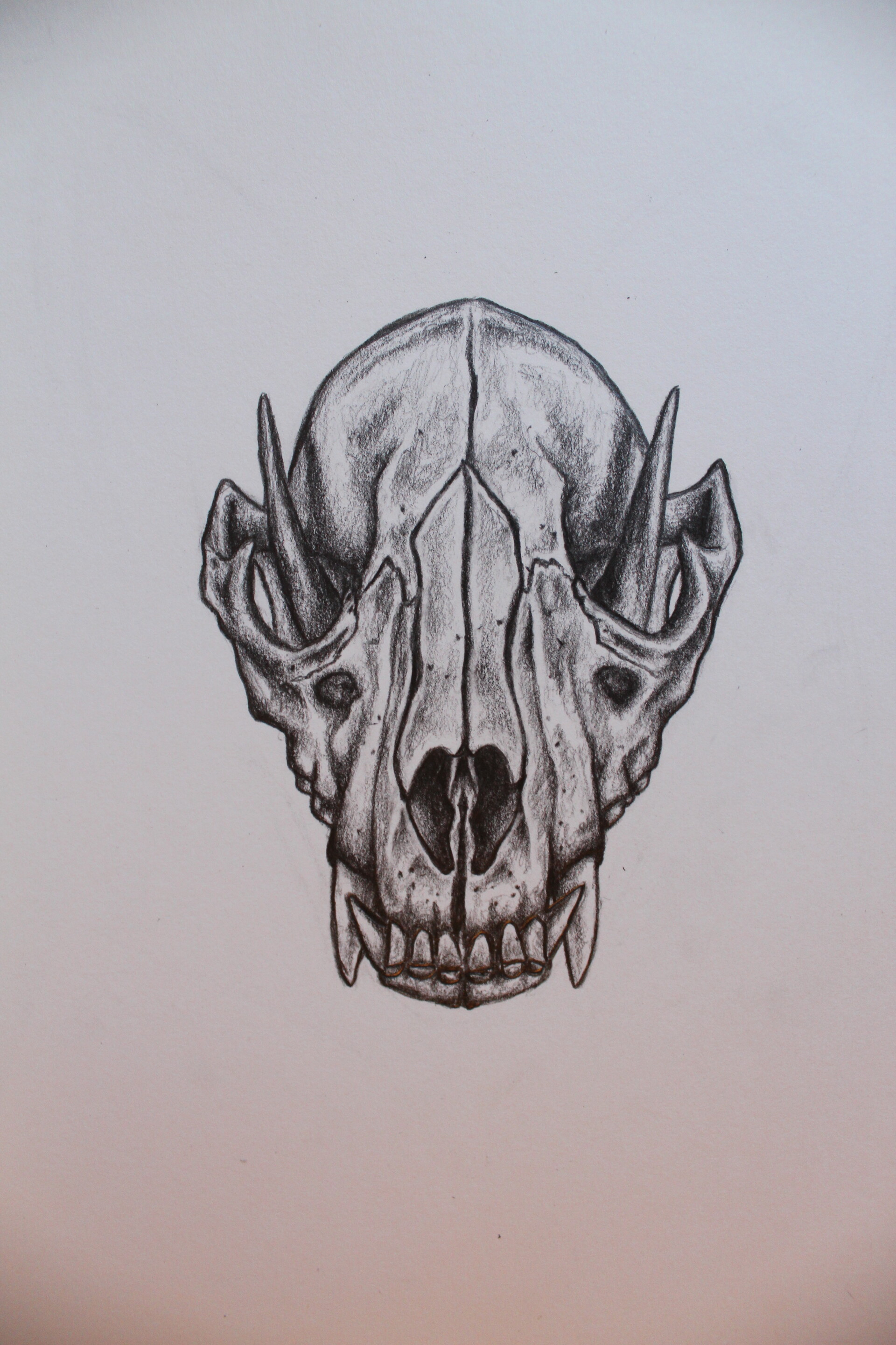 ArtStation - Fox Skull