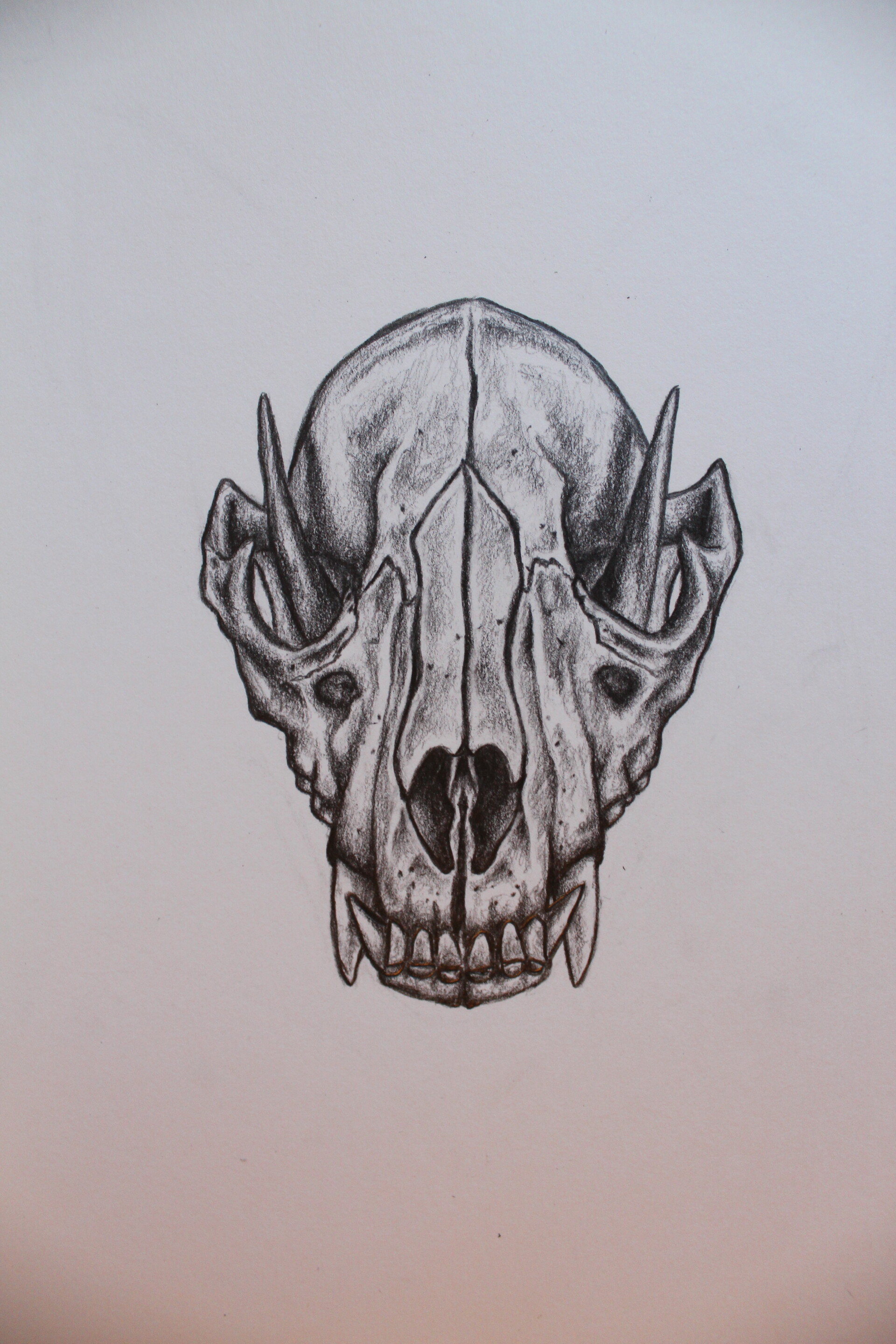 ArtStation Fox Skull