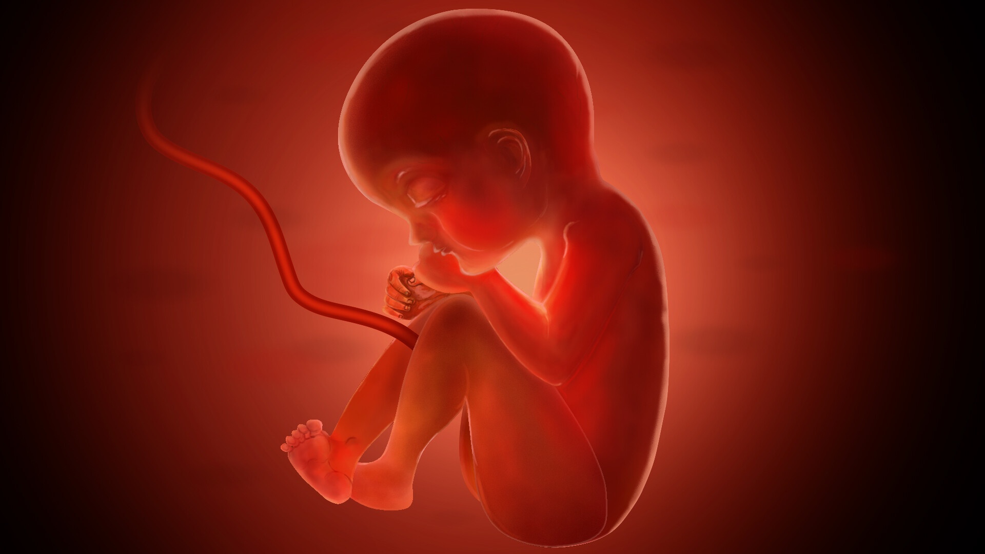 Woom baby 2025