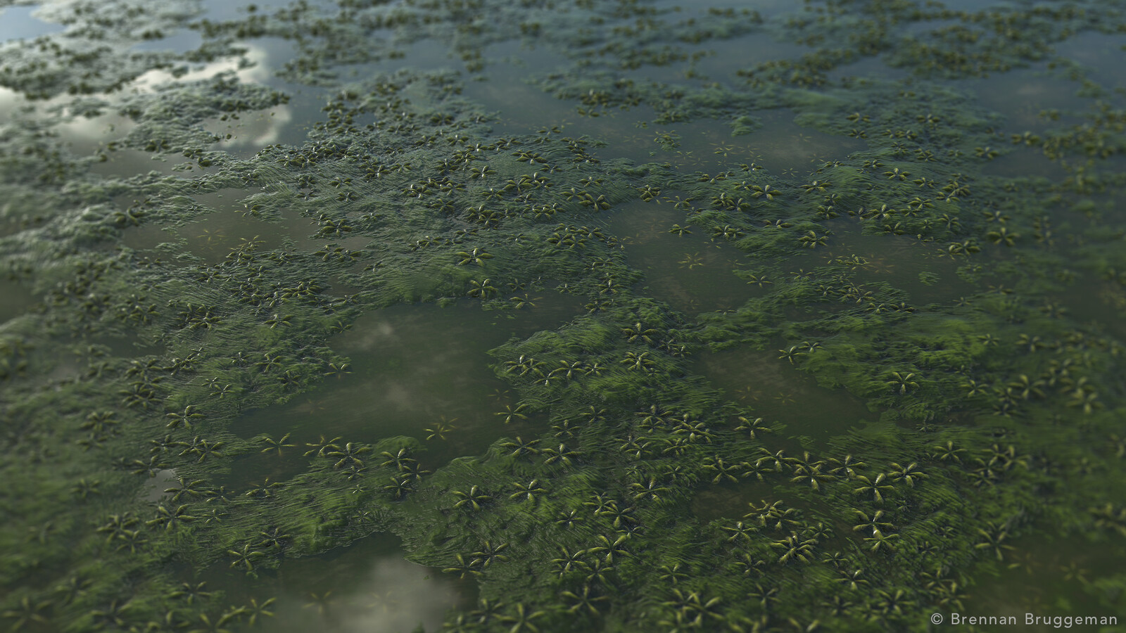 Stylized Moss