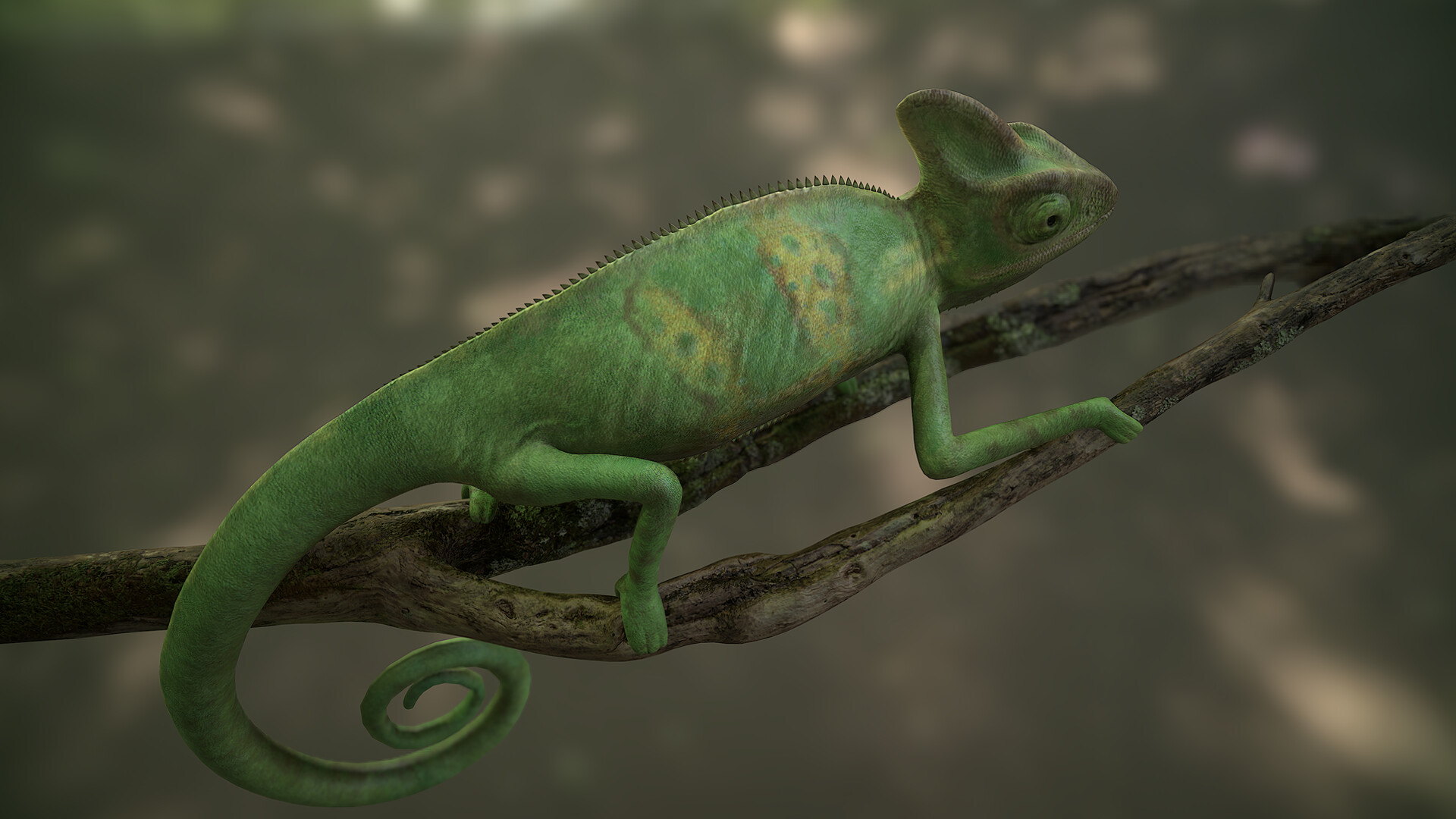 ArtStation - chameleon