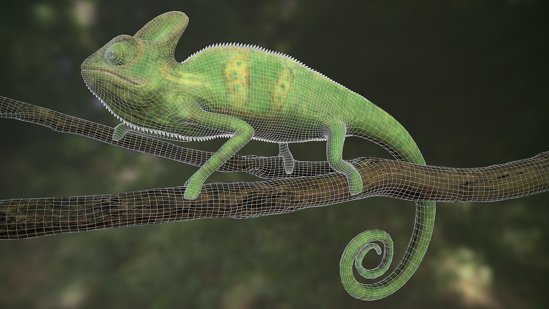 ArtStation - chameleon