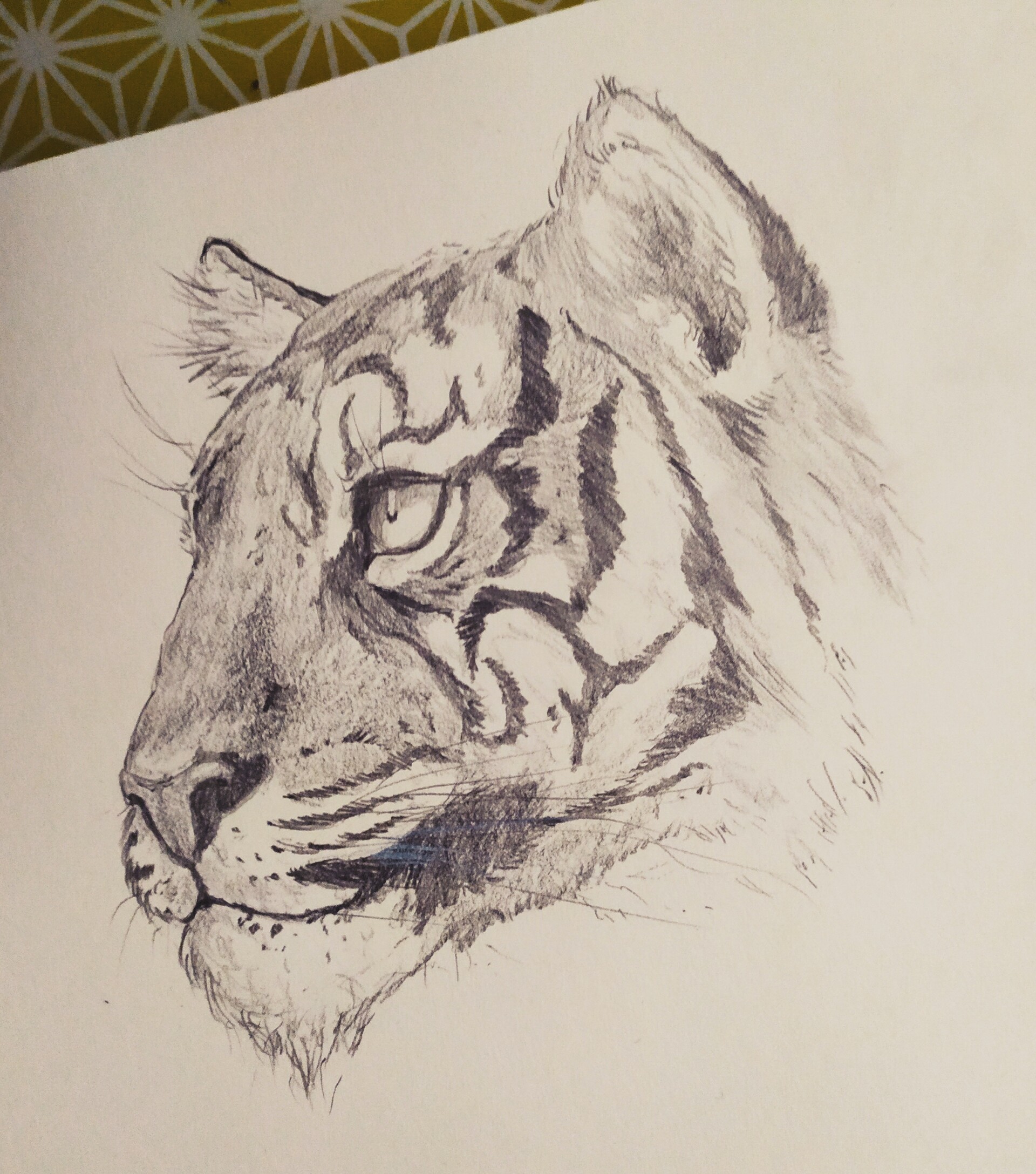 ArtStation - Tiger
