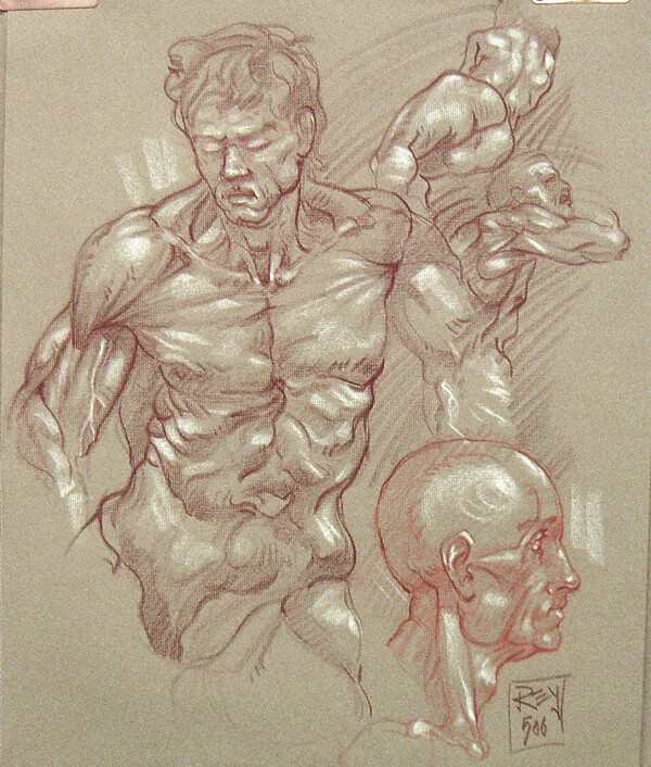 Artstation Anatomy For Artists Vol 1 Understanding The Back And Shoulder Muscles With Rey Bustos Rey Bustos