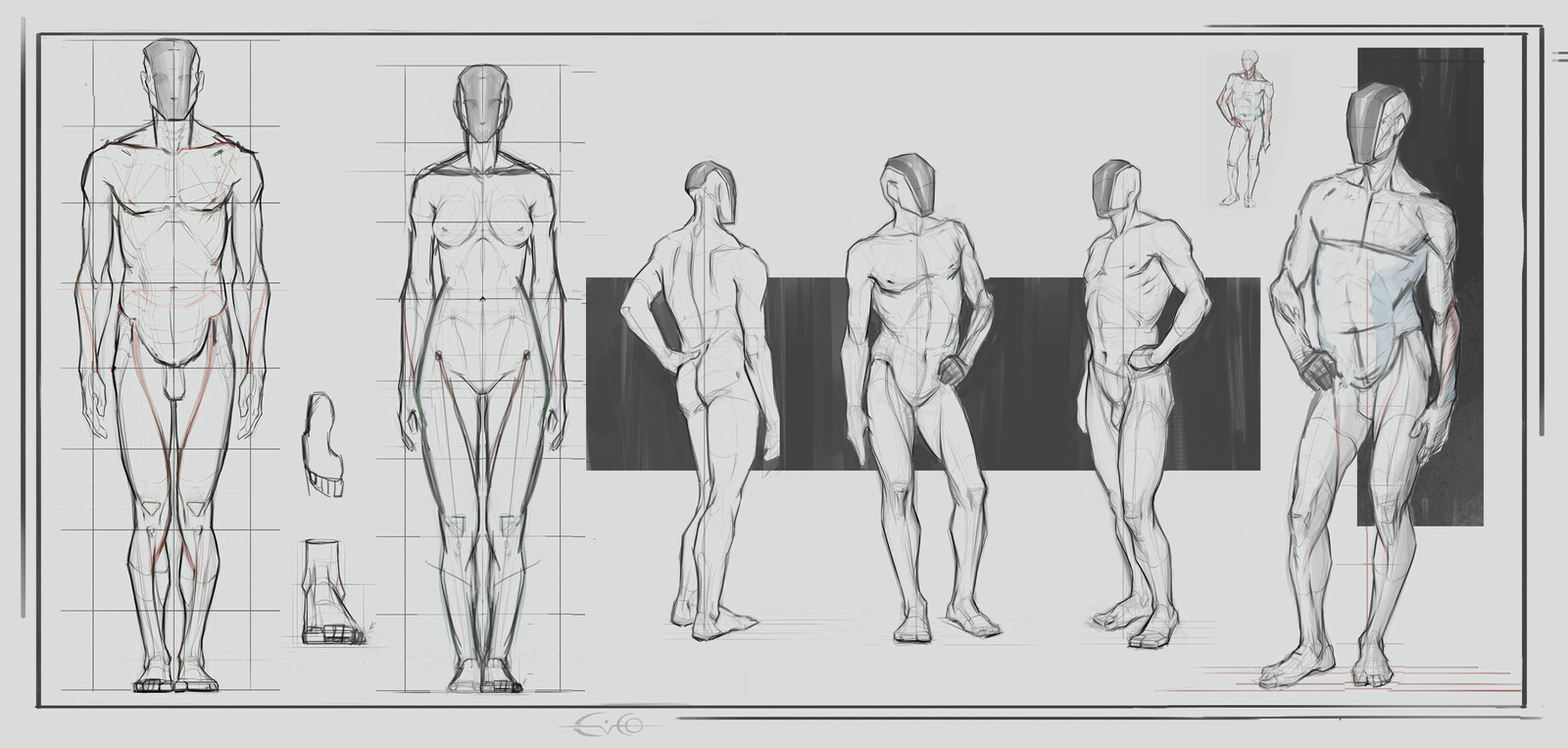 Proportions