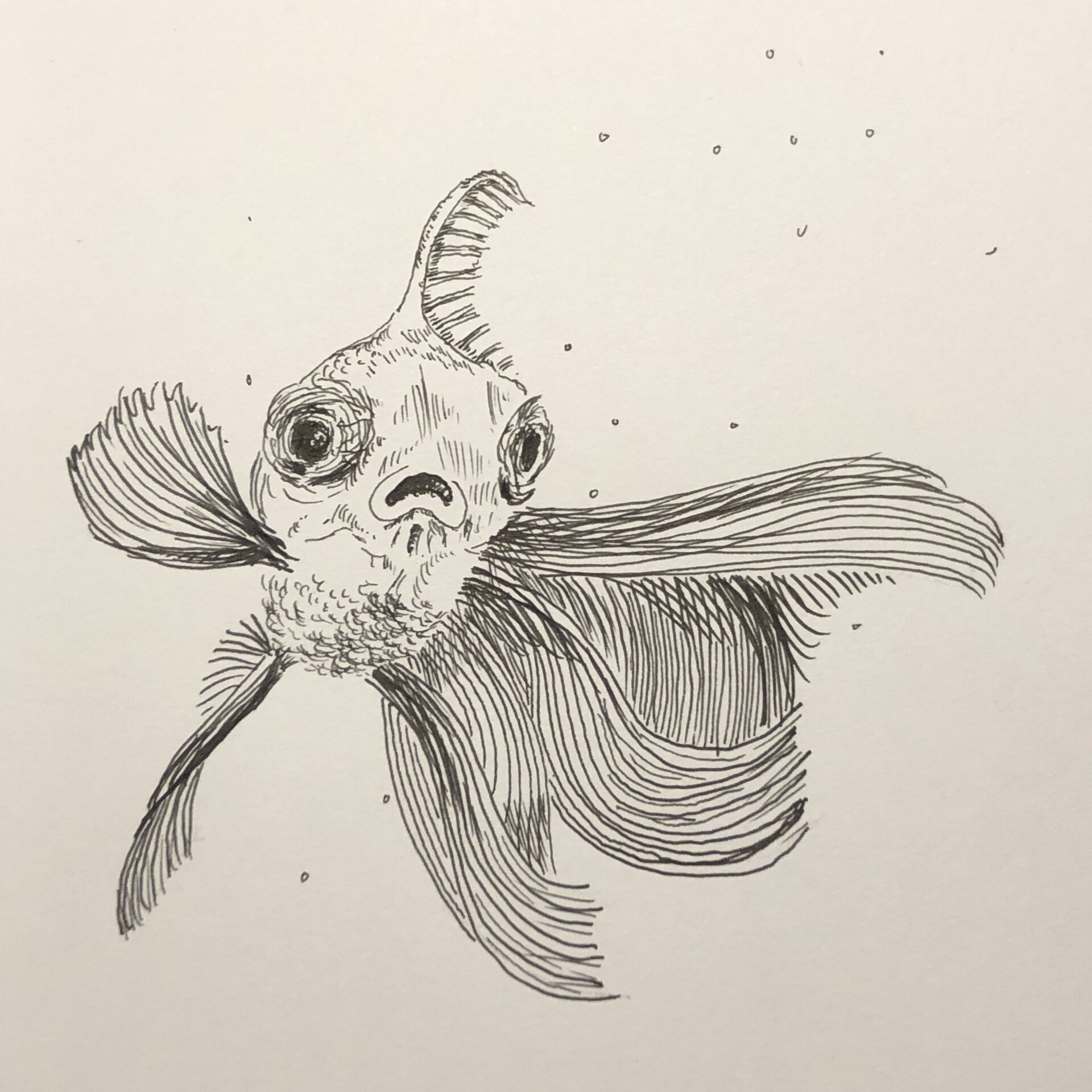 ArtStation - Fish