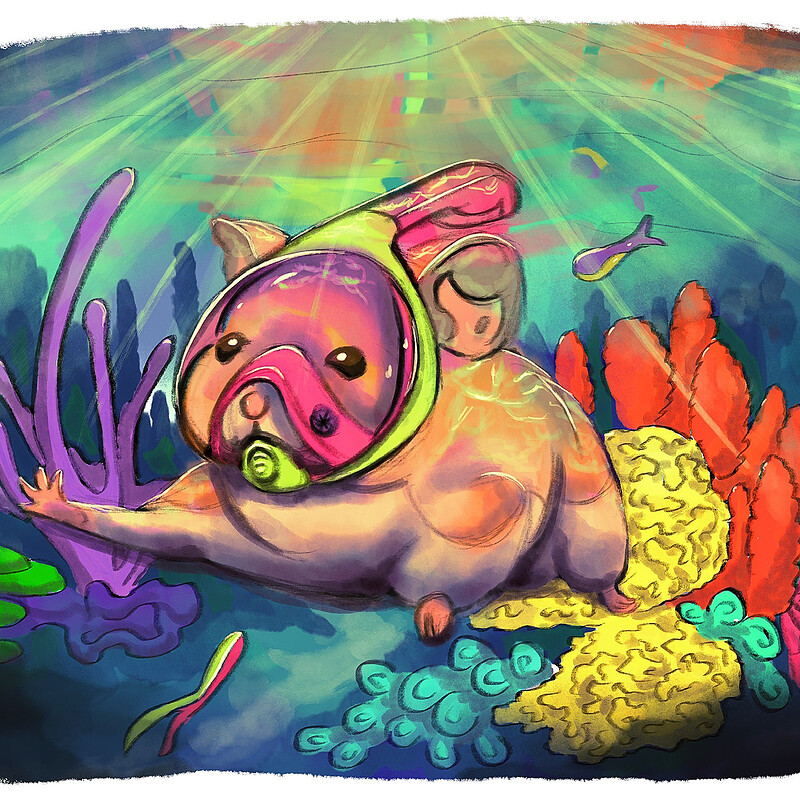 Snorkel Ham