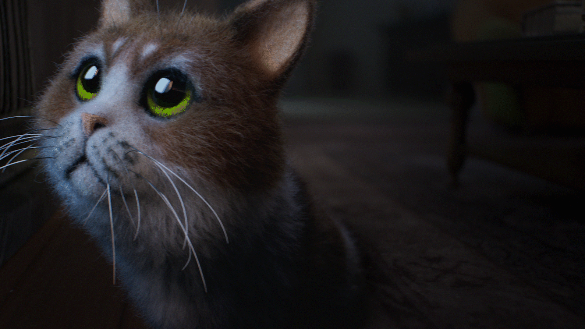 Scaredy Cat Temptations 2020 Animated Short Film